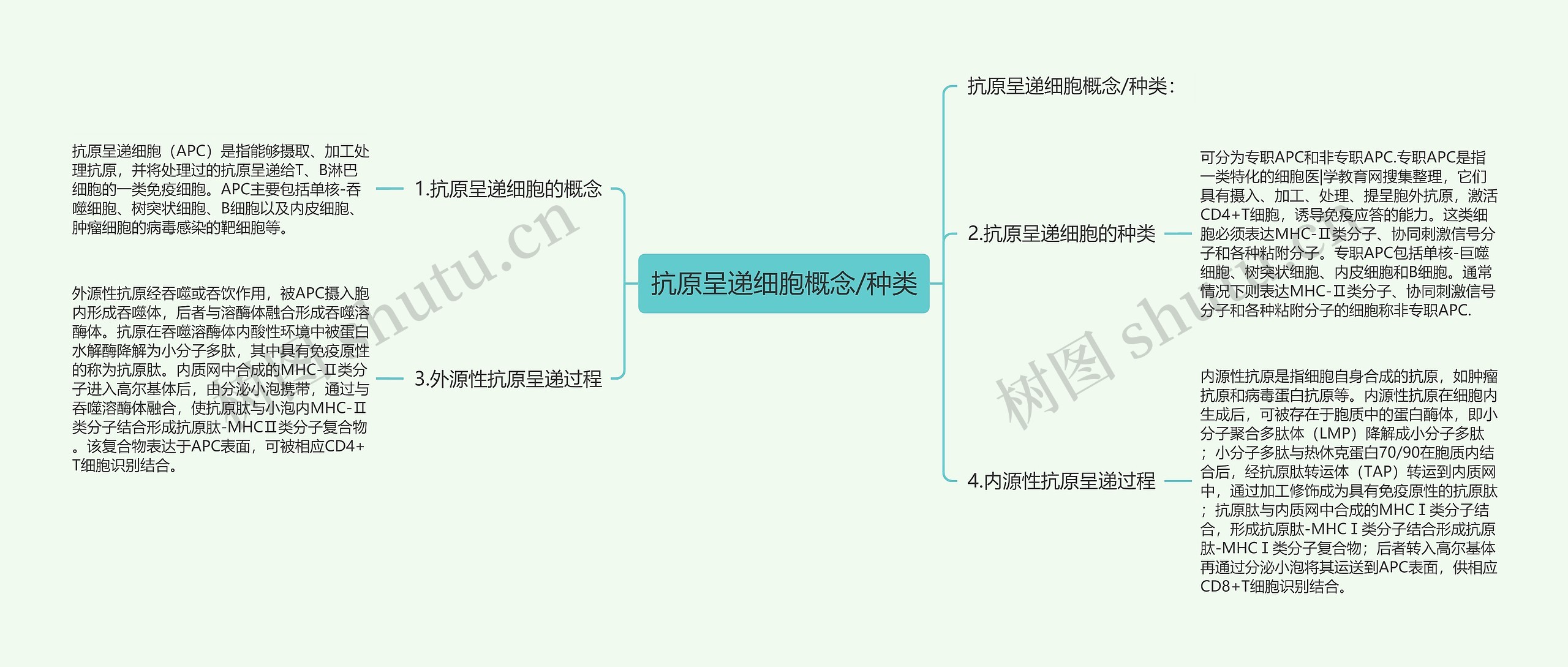 抗原呈递细胞概念/种类思维导图