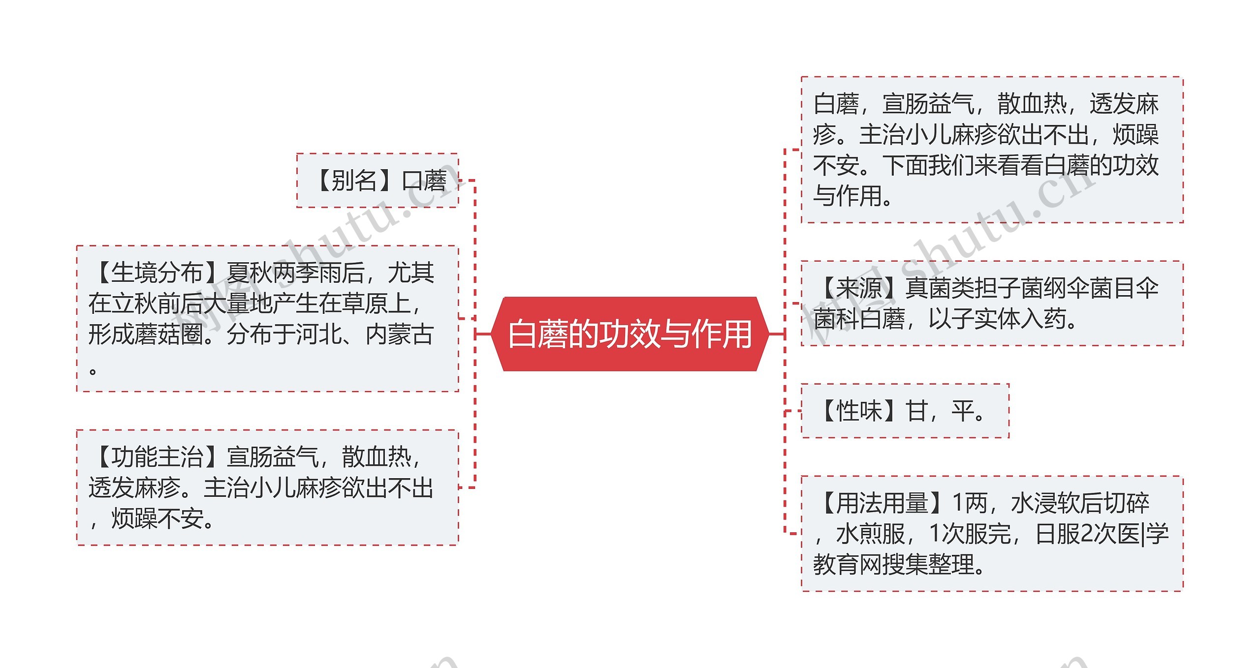 白蘑的功效与作用思维导图