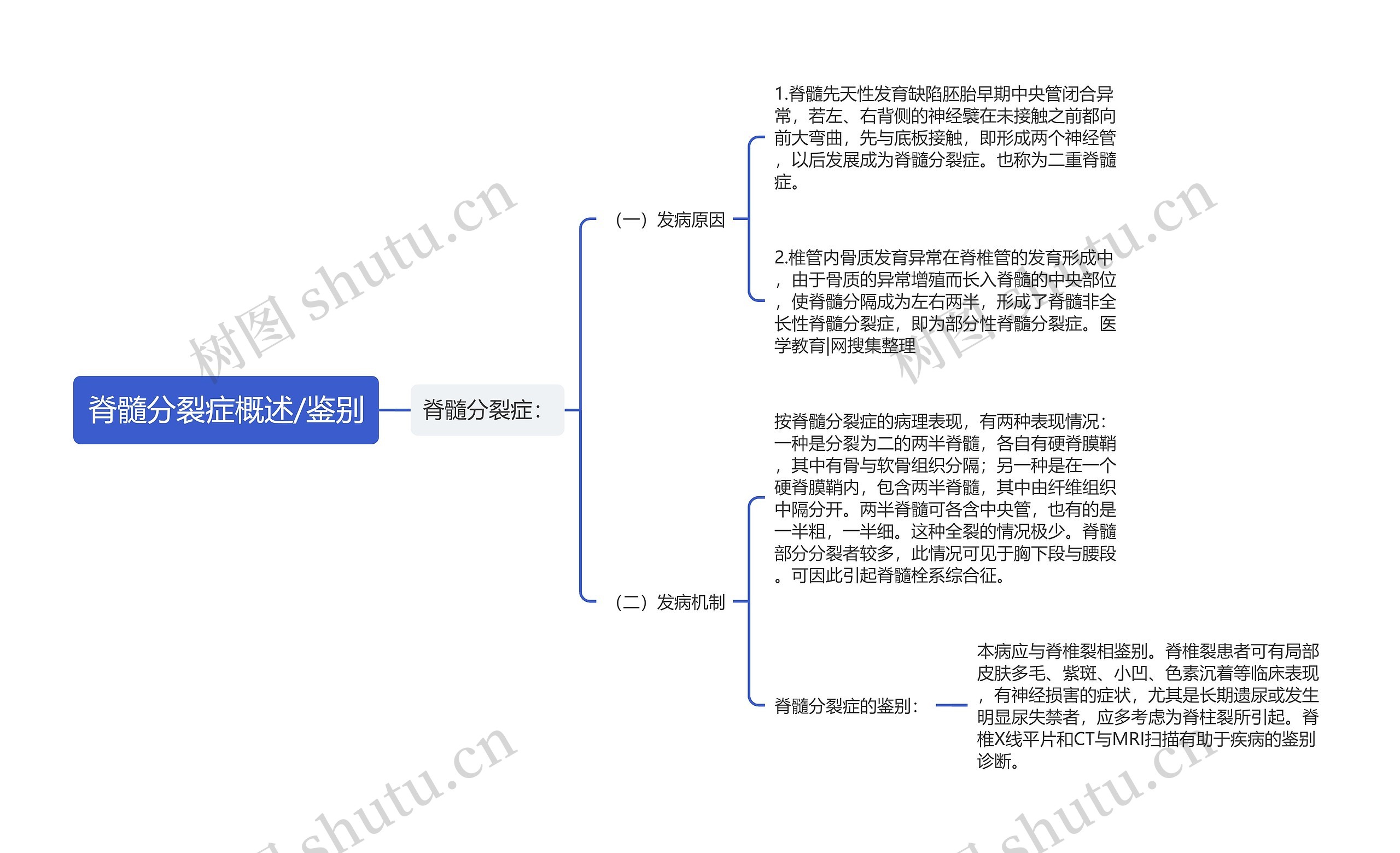 脊髓分裂症概述/鉴别