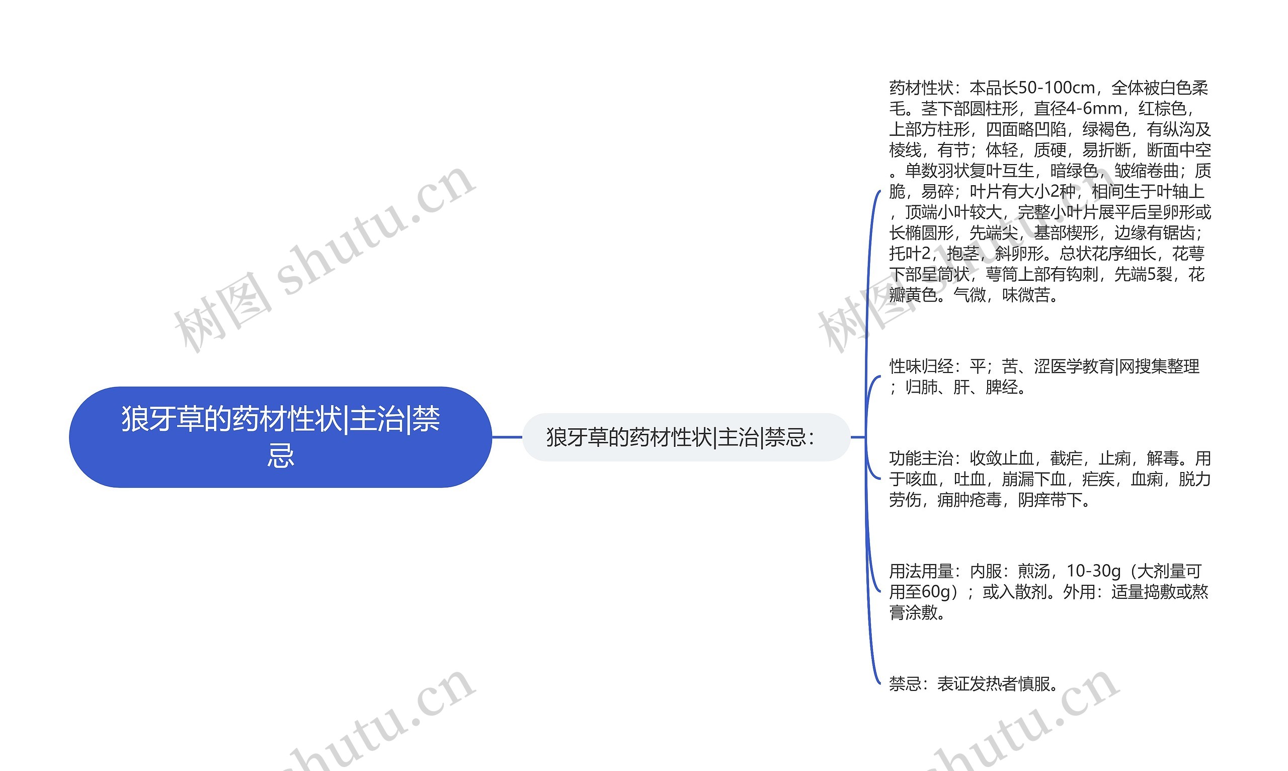 狼牙草的药材性状|主治|禁忌思维导图