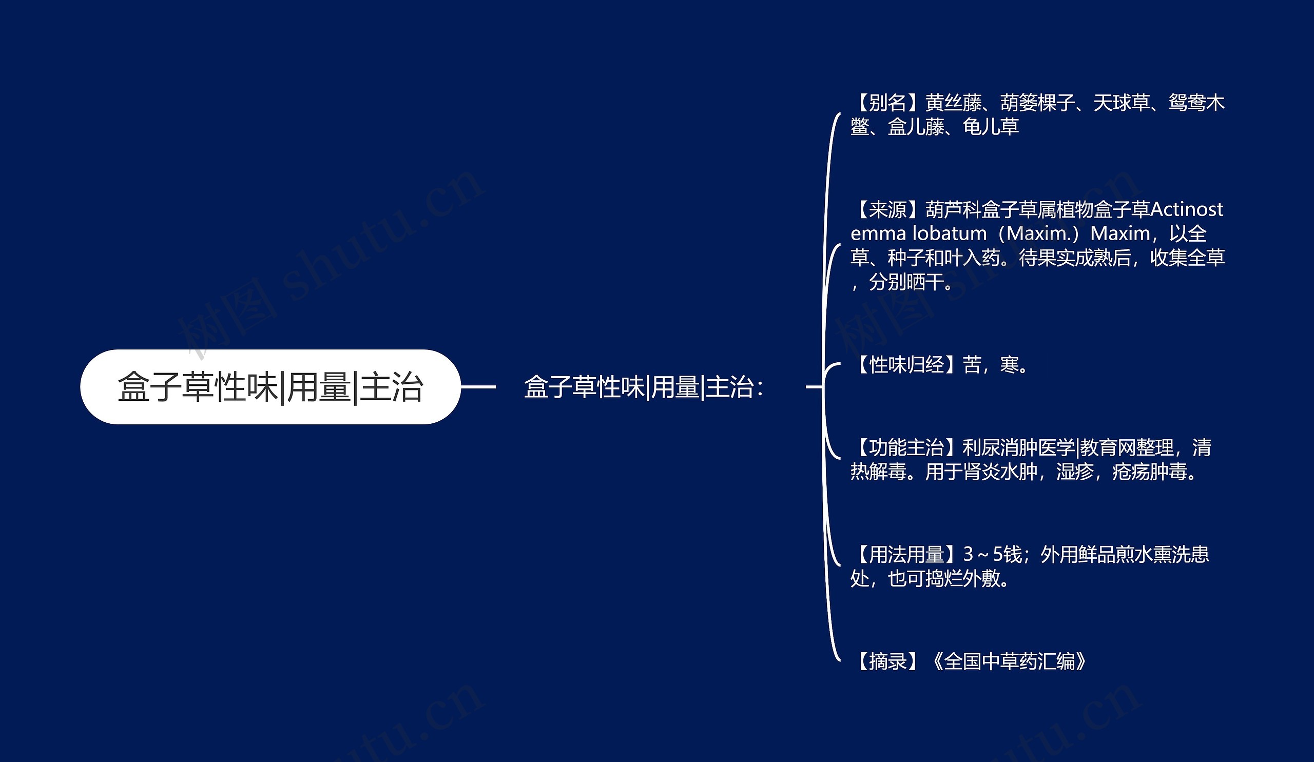 盒子草性味|用量|主治思维导图