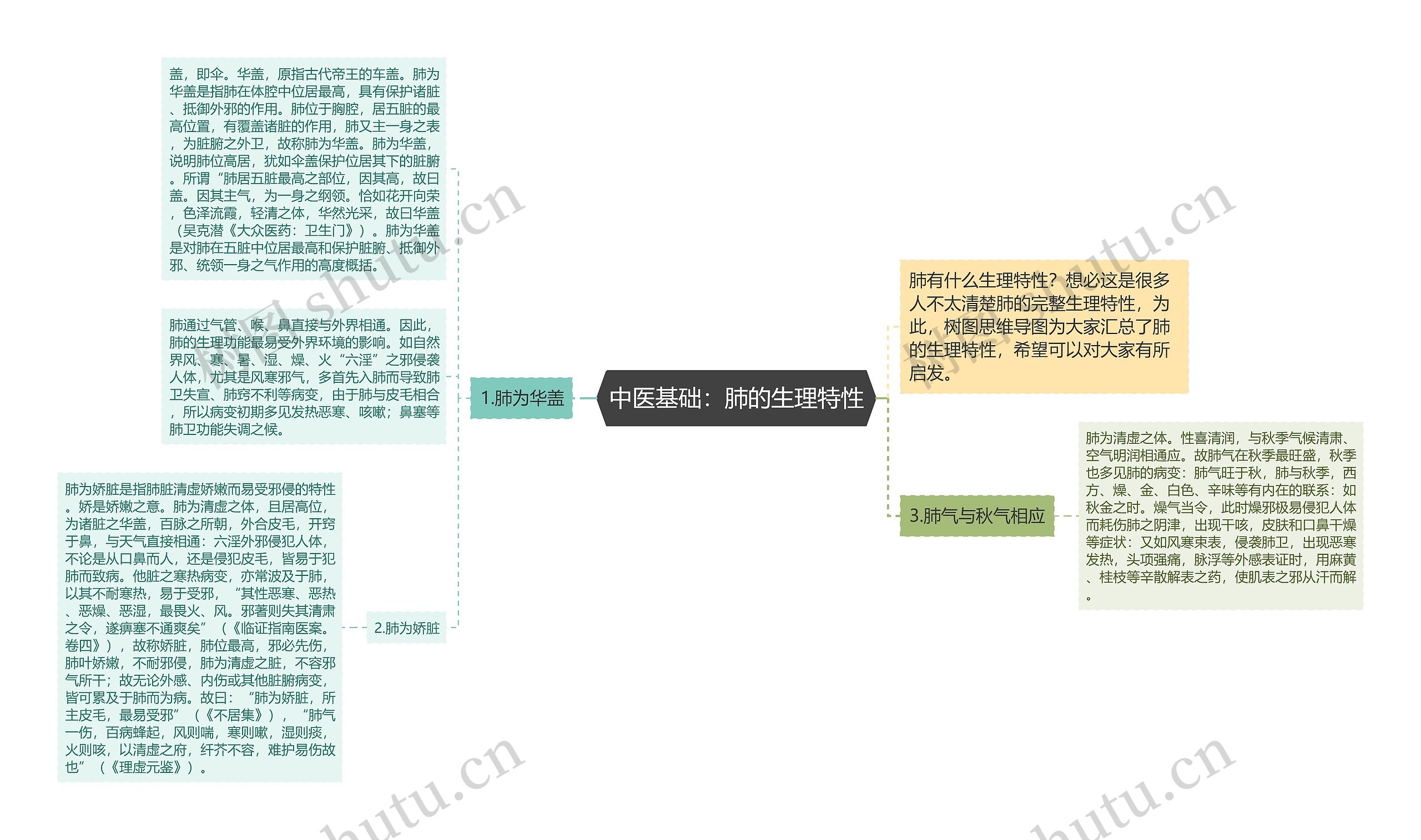 中医基础：肺的生理特性