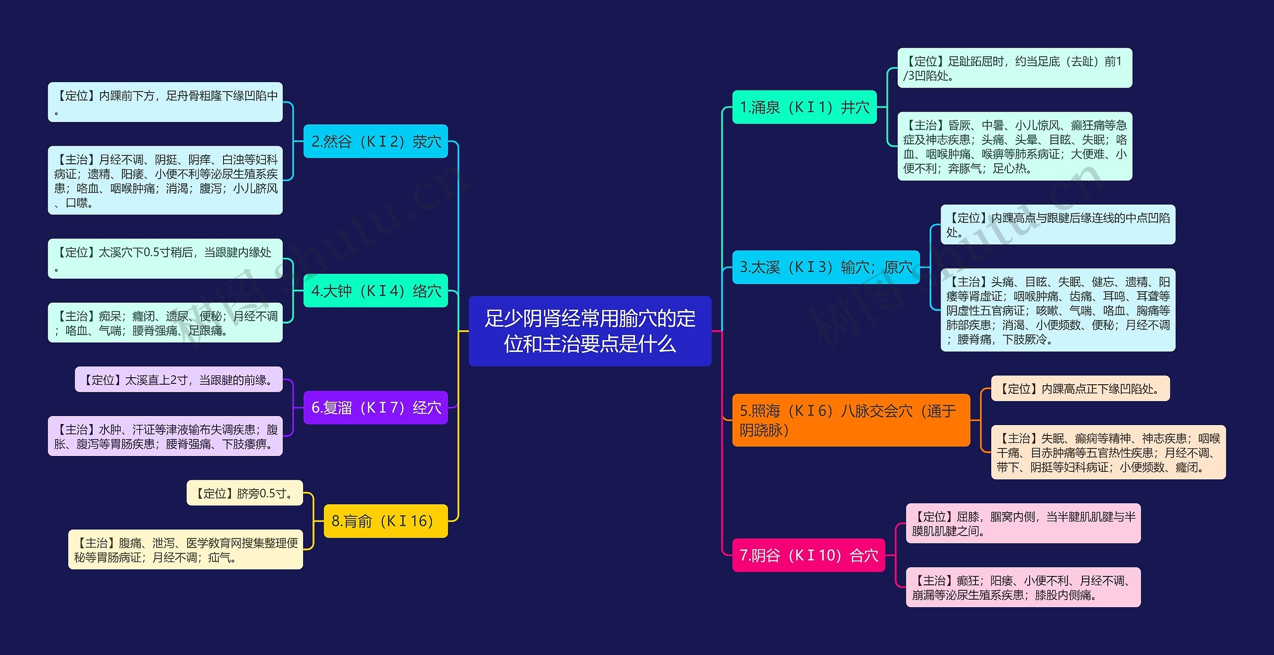 足少阴肾经常用腧穴的定位和主治要点是什么思维导图