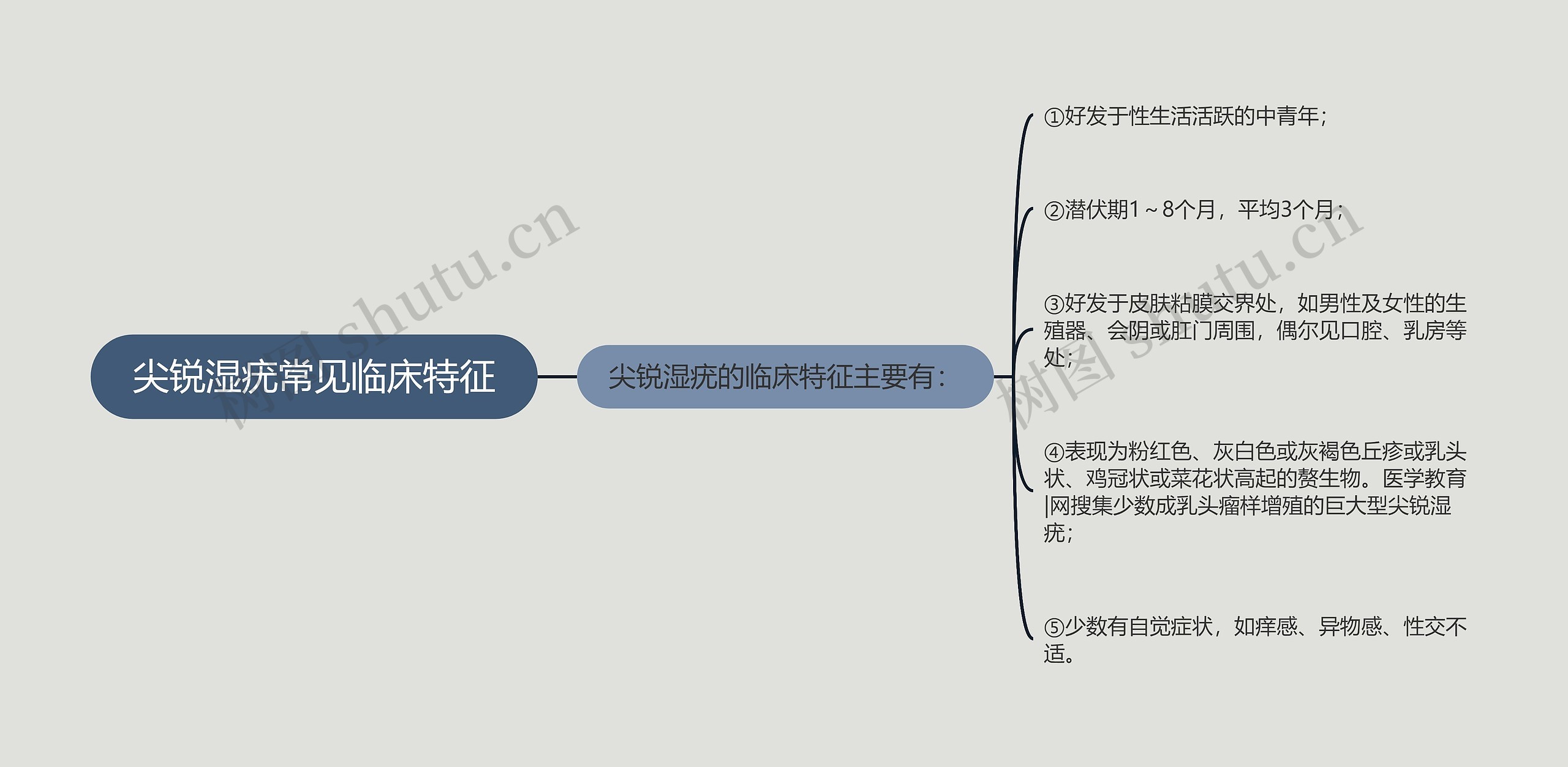 尖锐湿疣常见临床特征思维导图