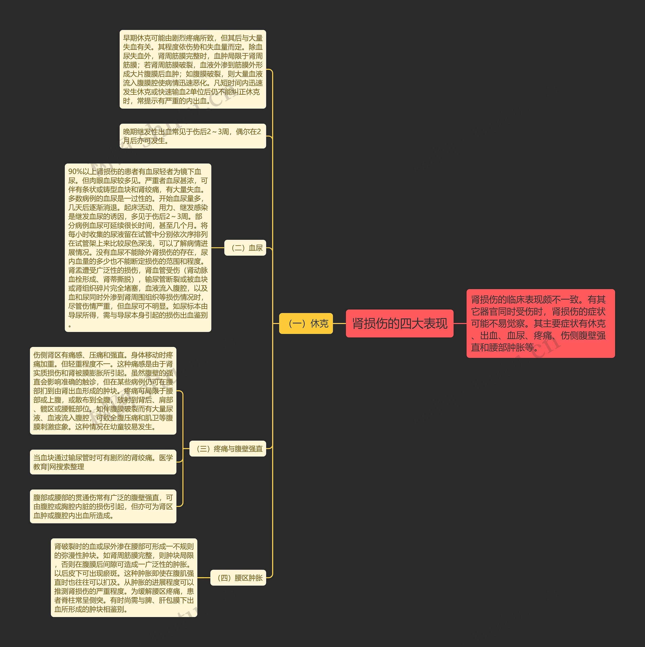 肾损伤的四大表现 肾损伤的四大表现