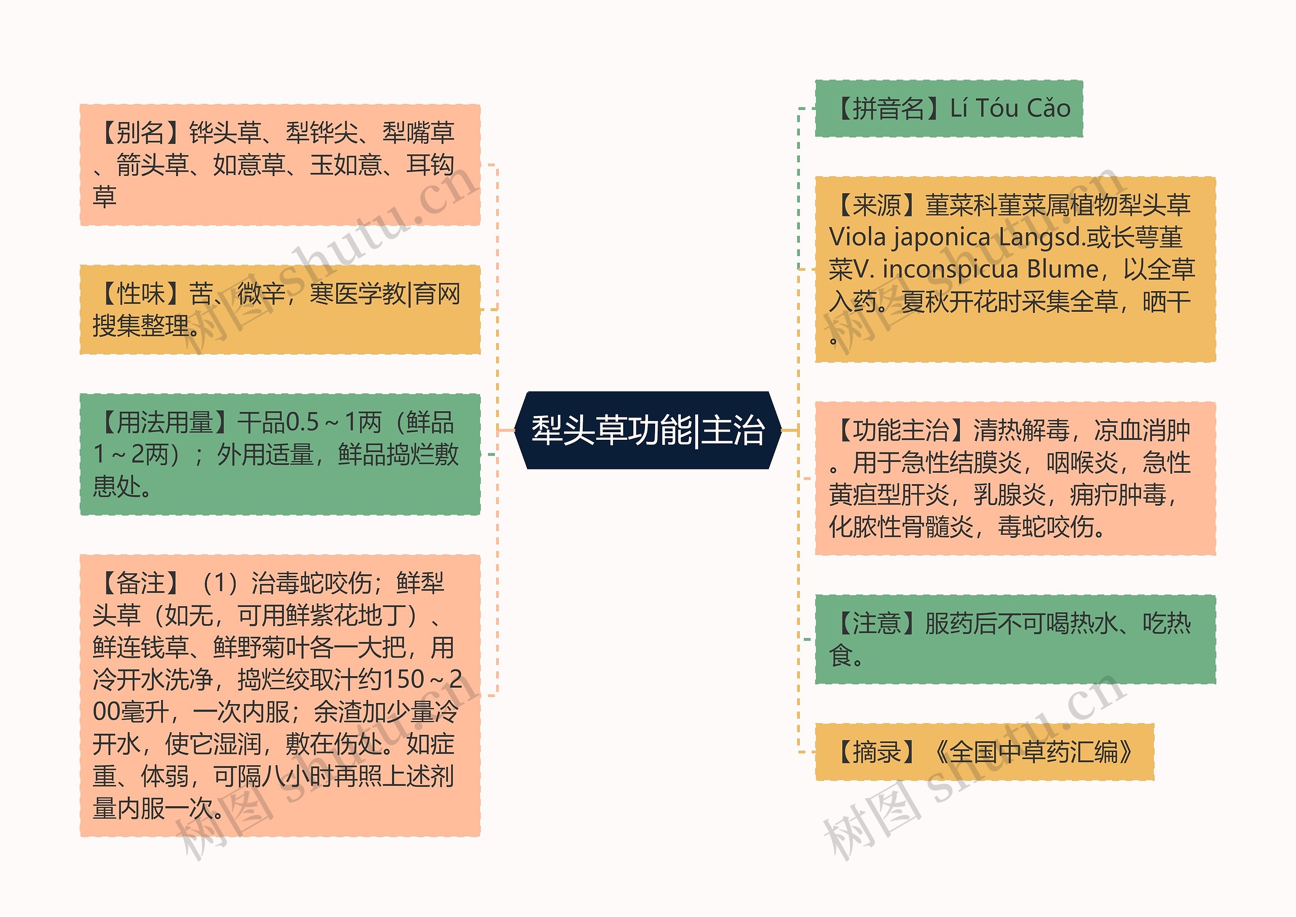 犁头草功能|主治思维导图