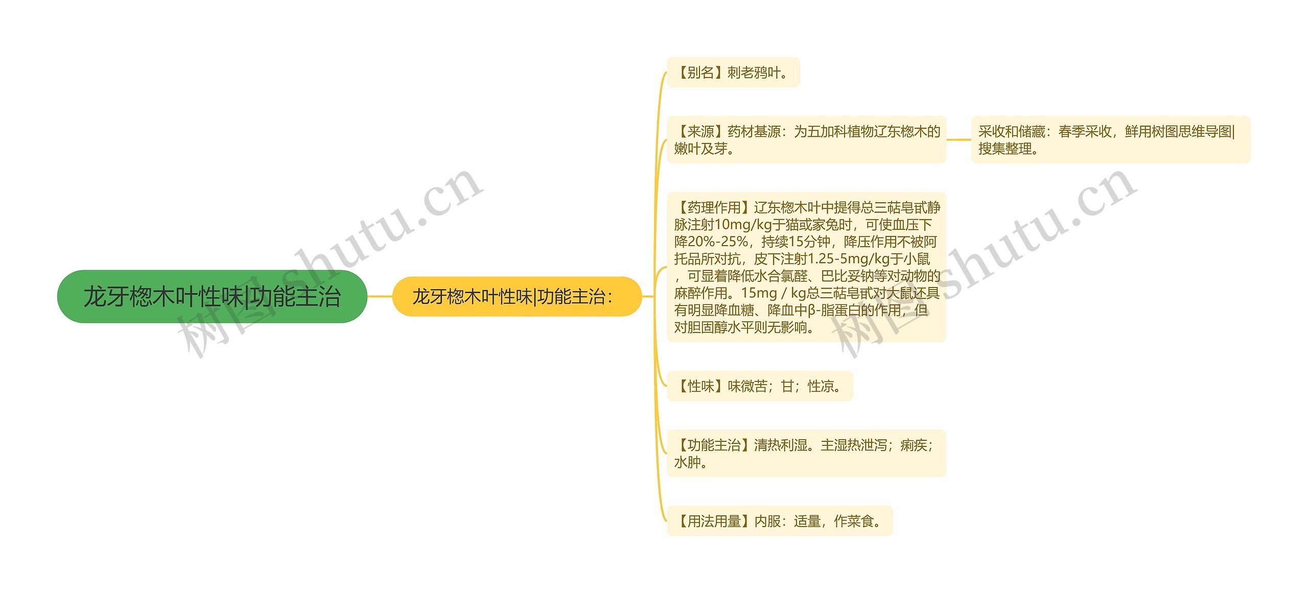 龙牙楤木叶性味|功能主治思维导图