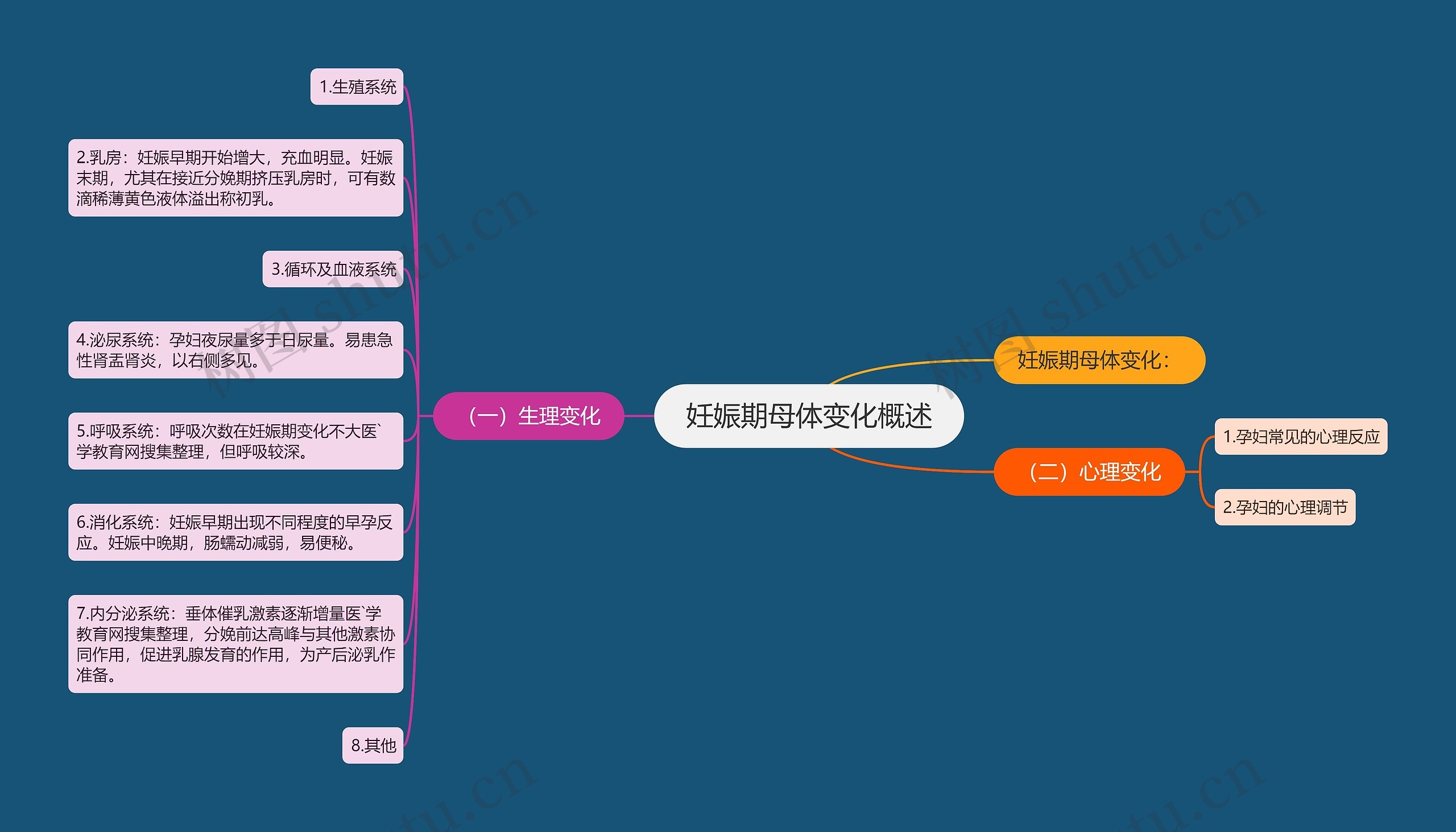 妊娠期母体变化概述思维导图