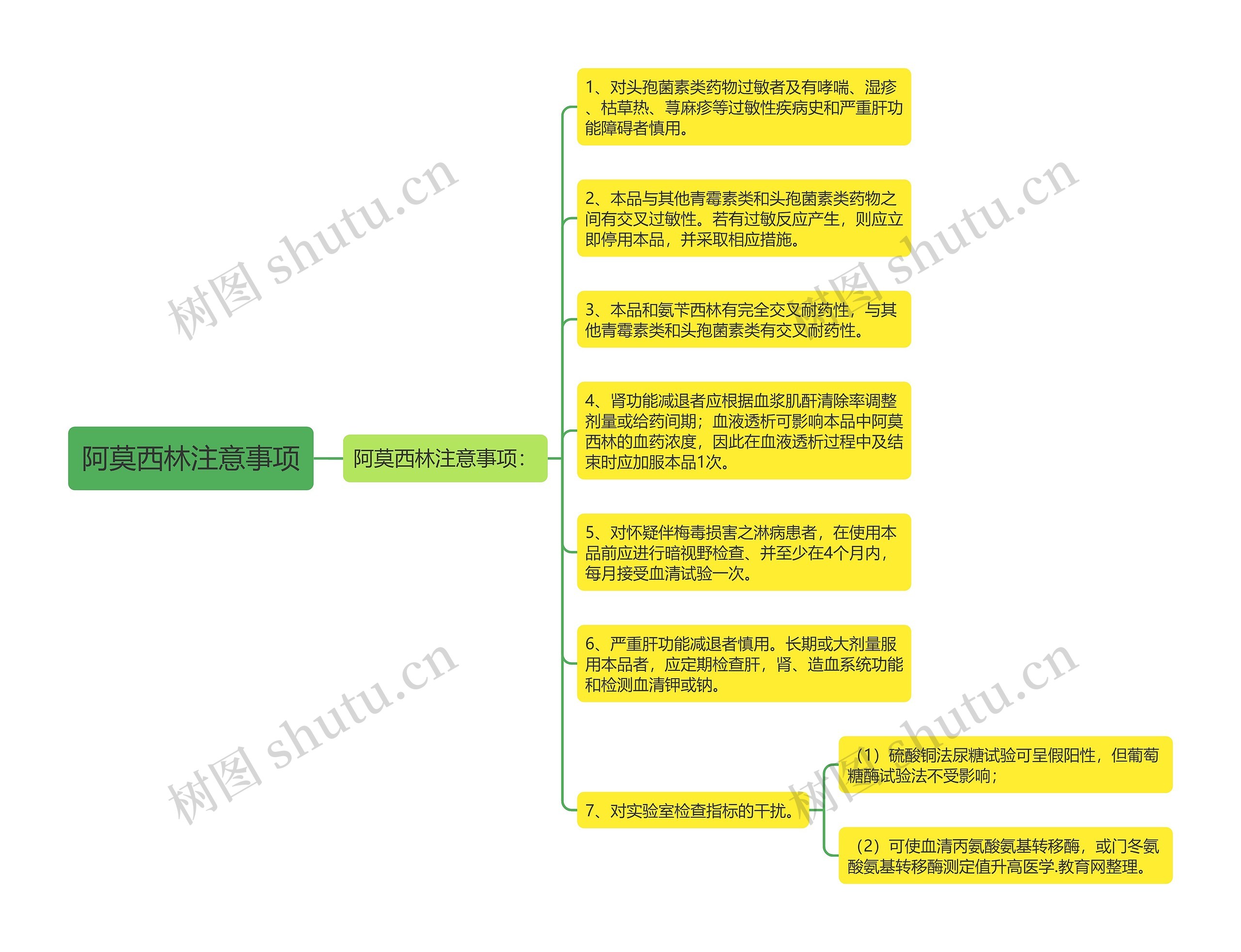 阿莫西林注意事项