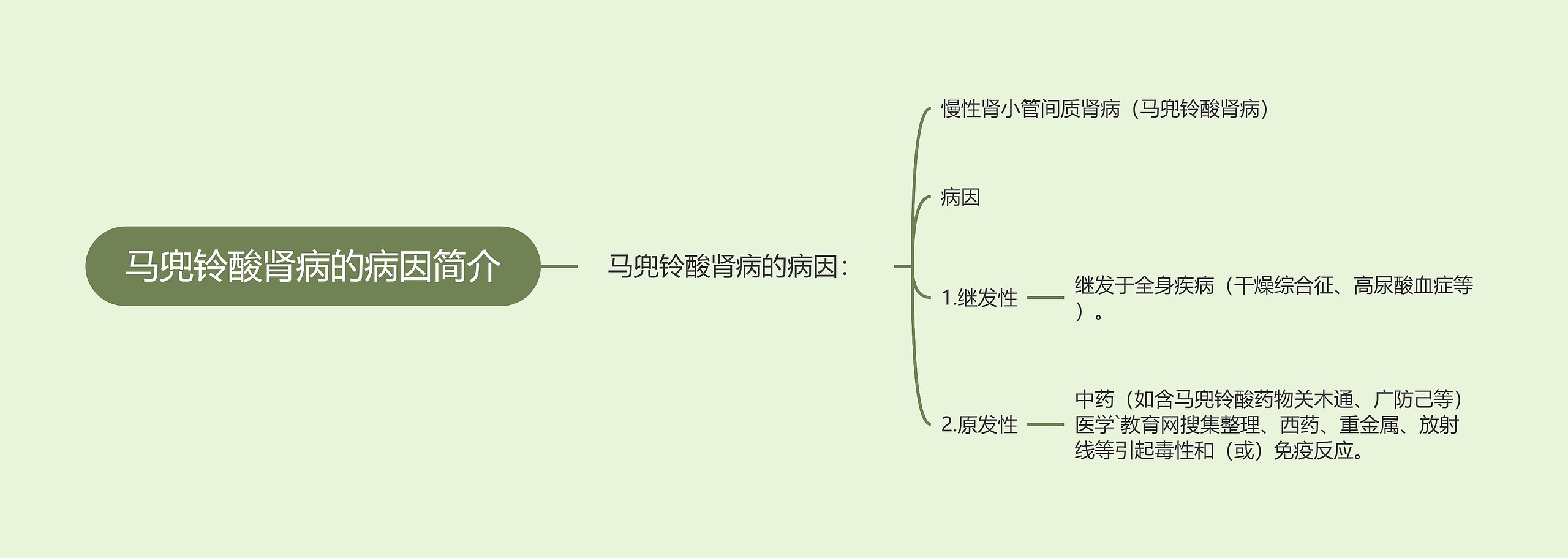 马兜铃酸肾病的病因简介思维导图