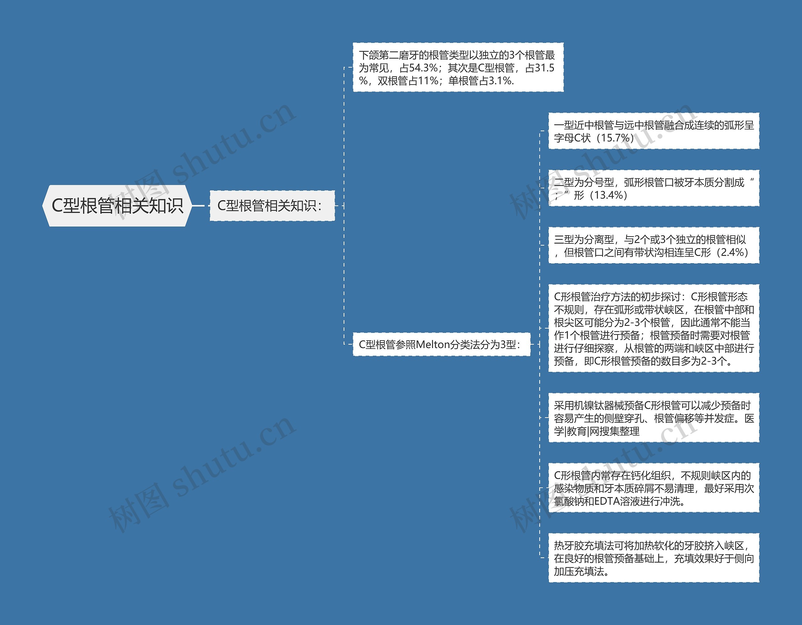 C型根管相关知识