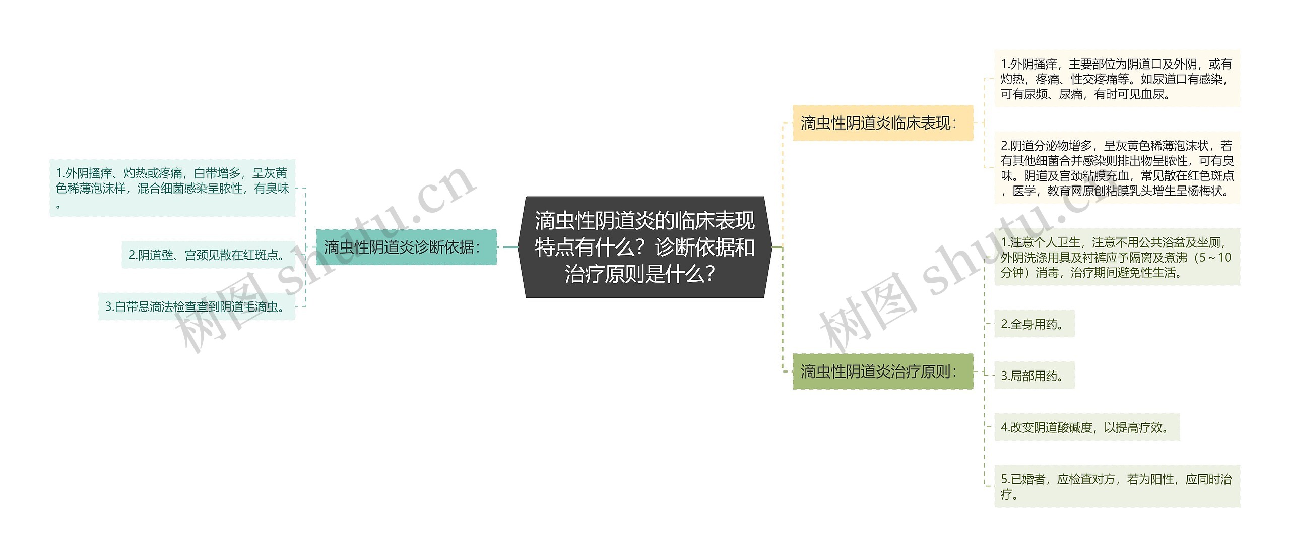 滴虫性阴道炎的临床表现特点有什么？诊断依据和治疗原则是什么？思维导图