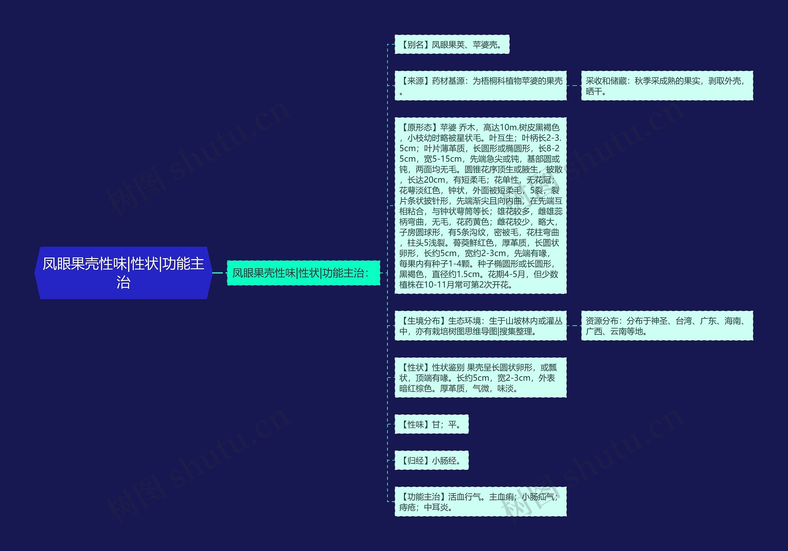 凤眼果壳性味|性状|功能主治思维导图