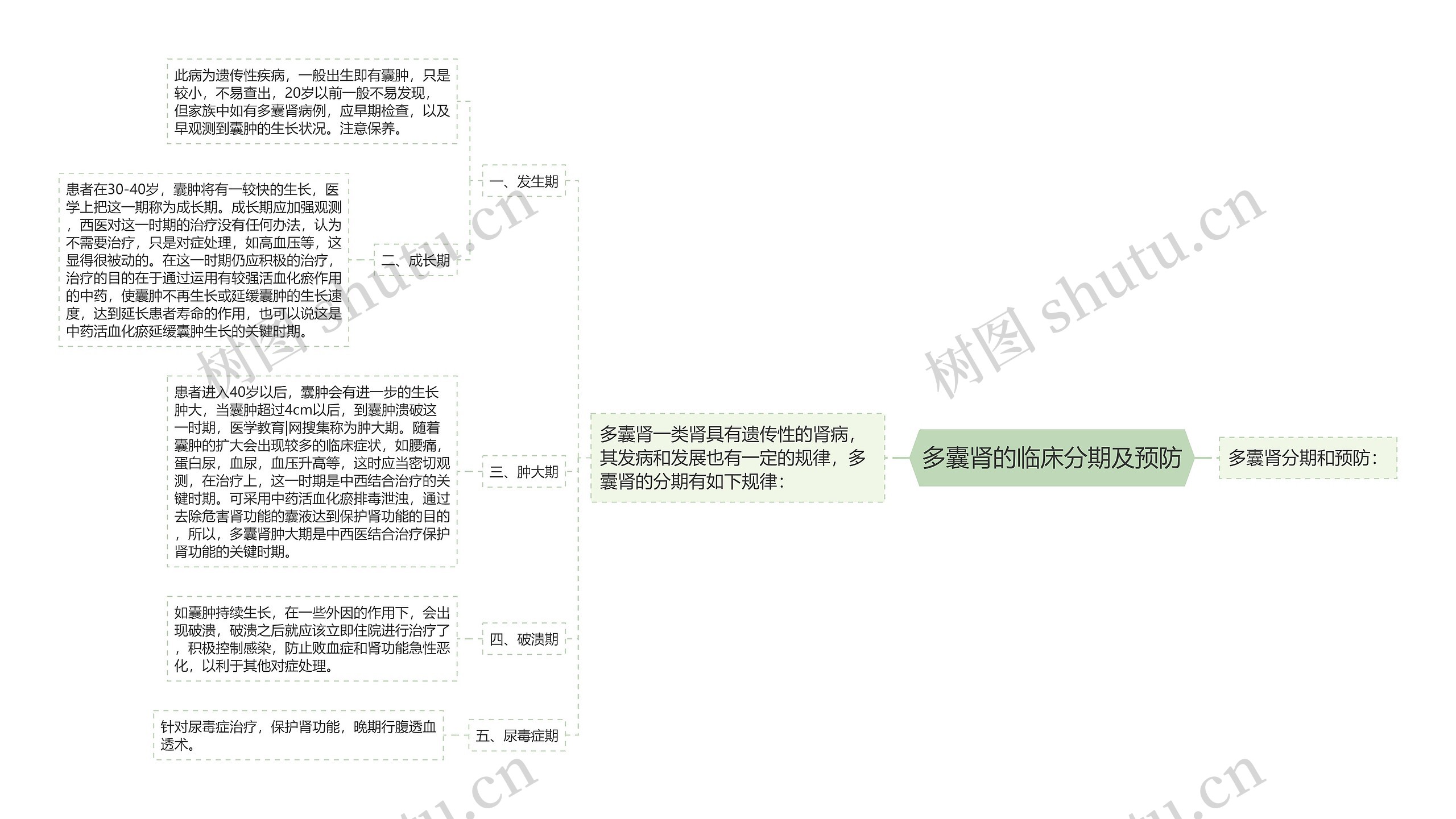 多囊肾的临床分期及预防思维导图