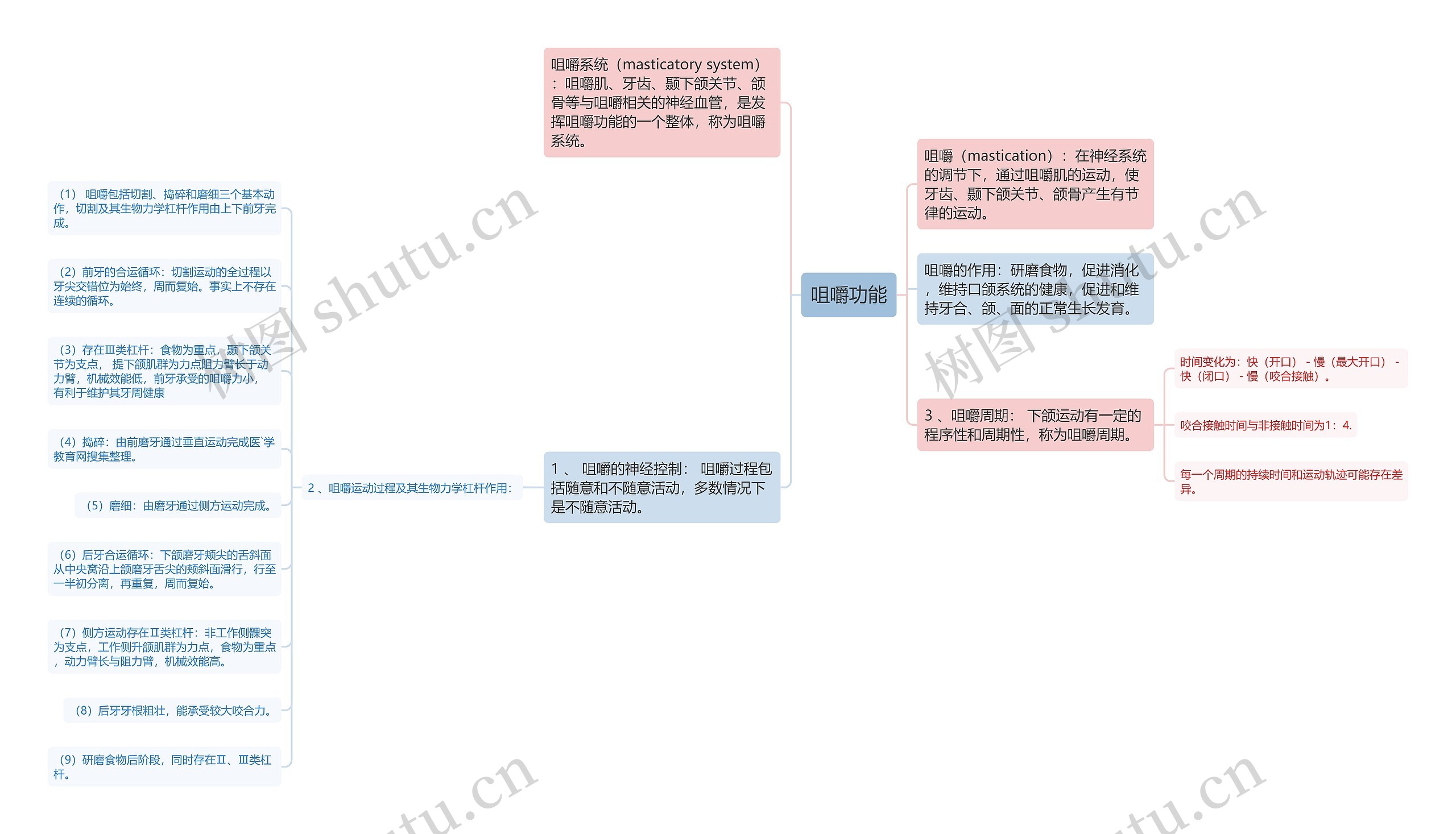 咀嚼功能思维导图