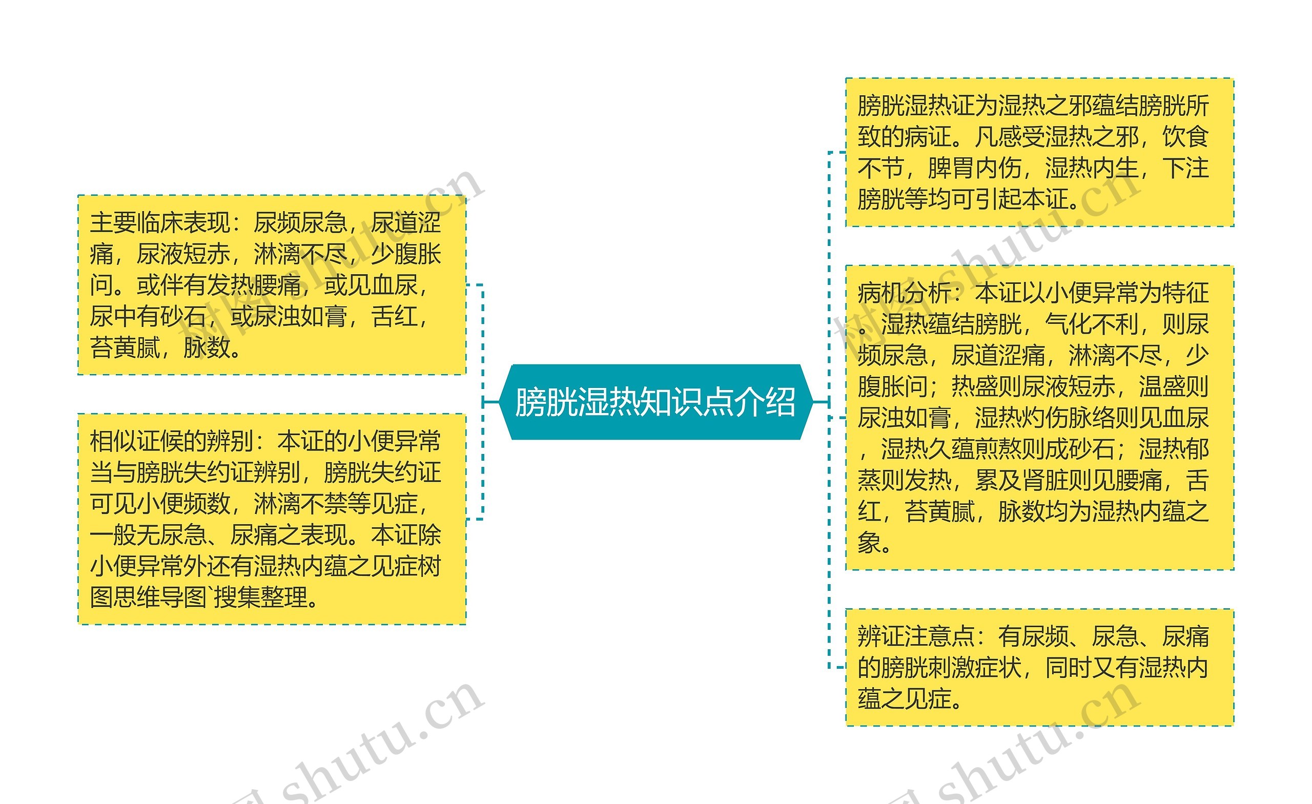 膀胱湿热知识点介绍思维导图