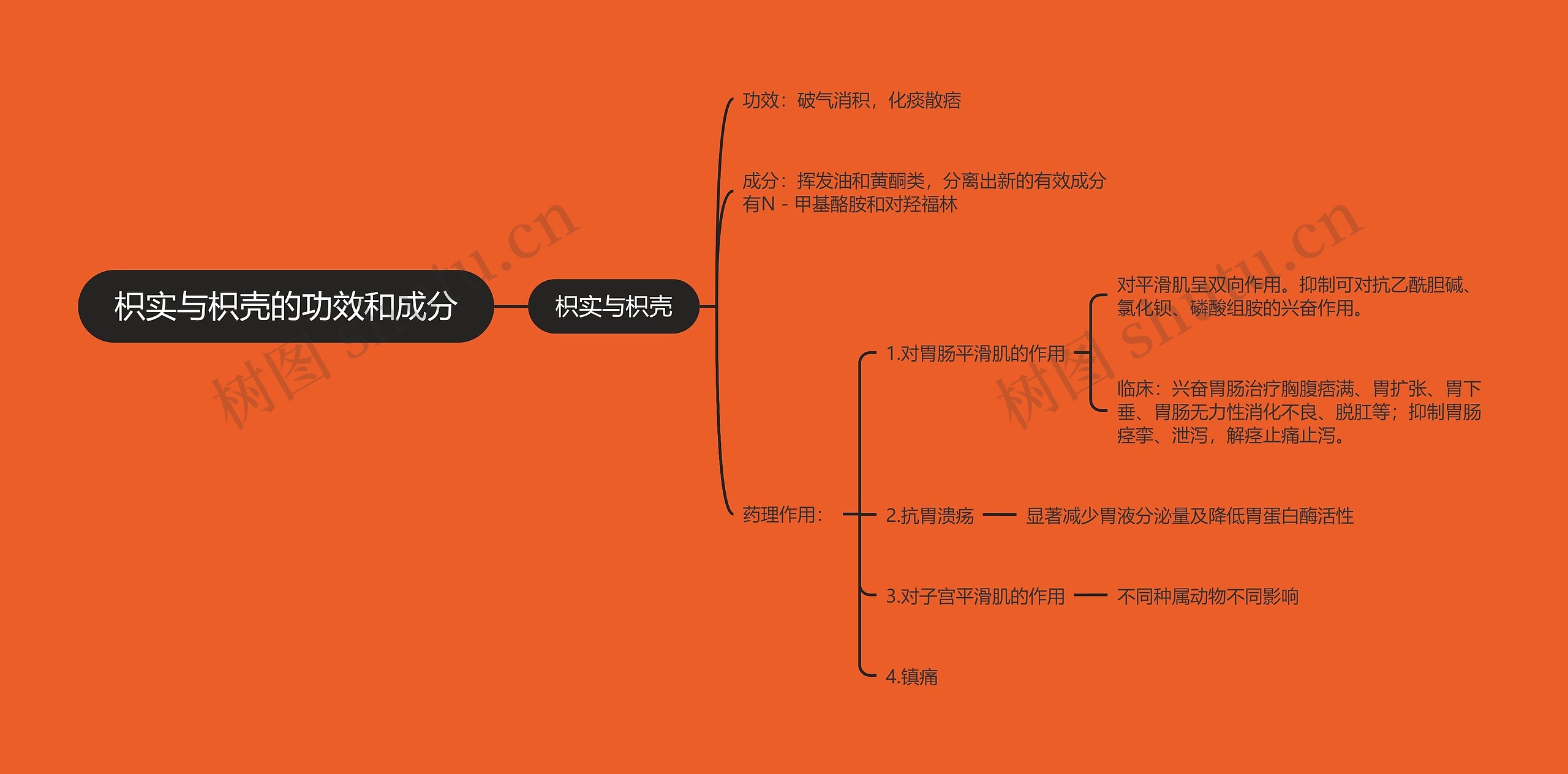 枳实与枳壳的功效和成分思维导图