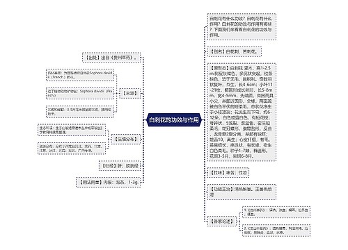 白刺花的功效与作用