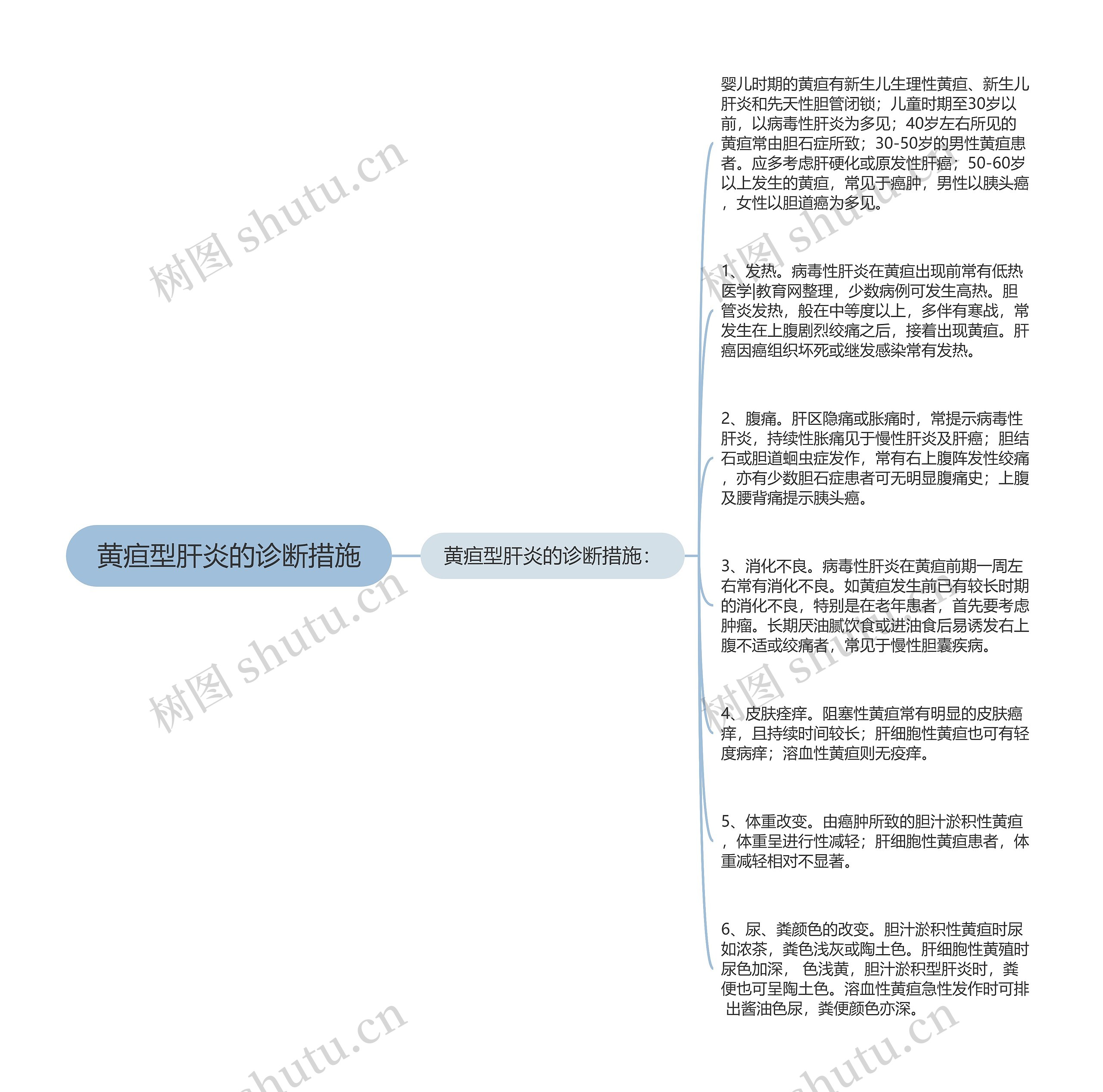 黄疸型肝炎的诊断措施思维导图