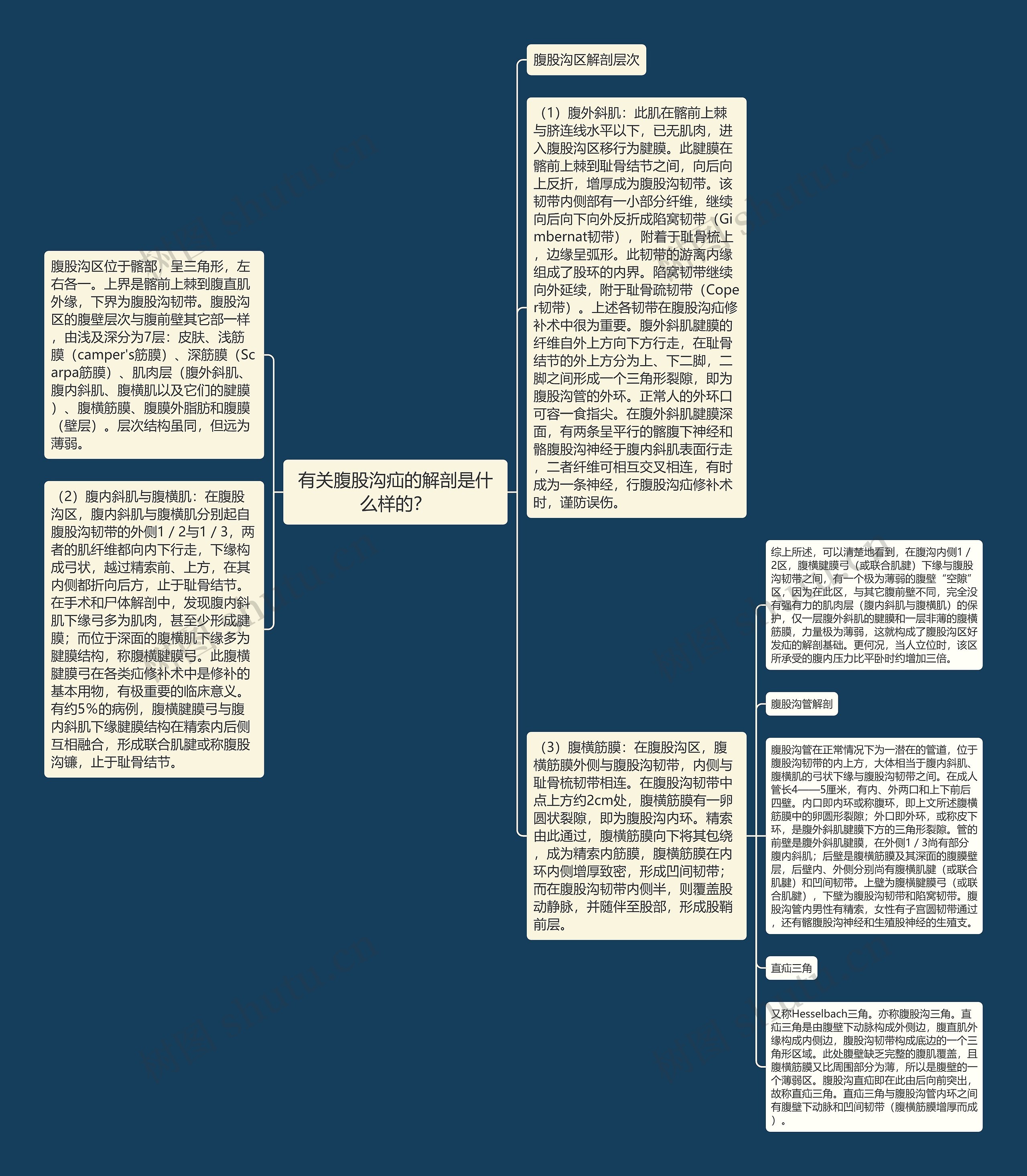 有关腹股沟疝的解剖是什么样的?思维导图高清图 有关腹股沟疝的解剖是什么样的?思维导图
