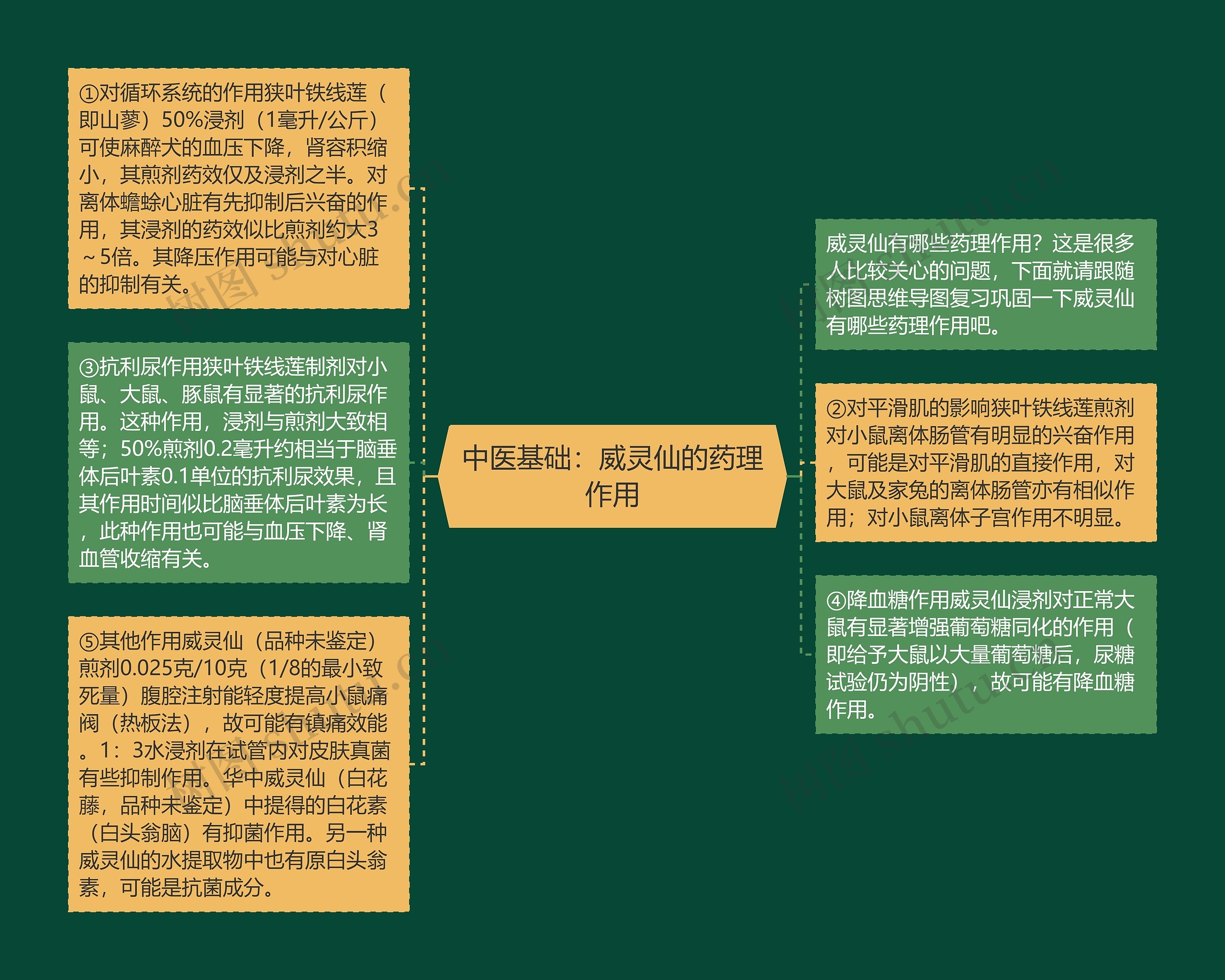 中医基础：威灵仙的药理作用