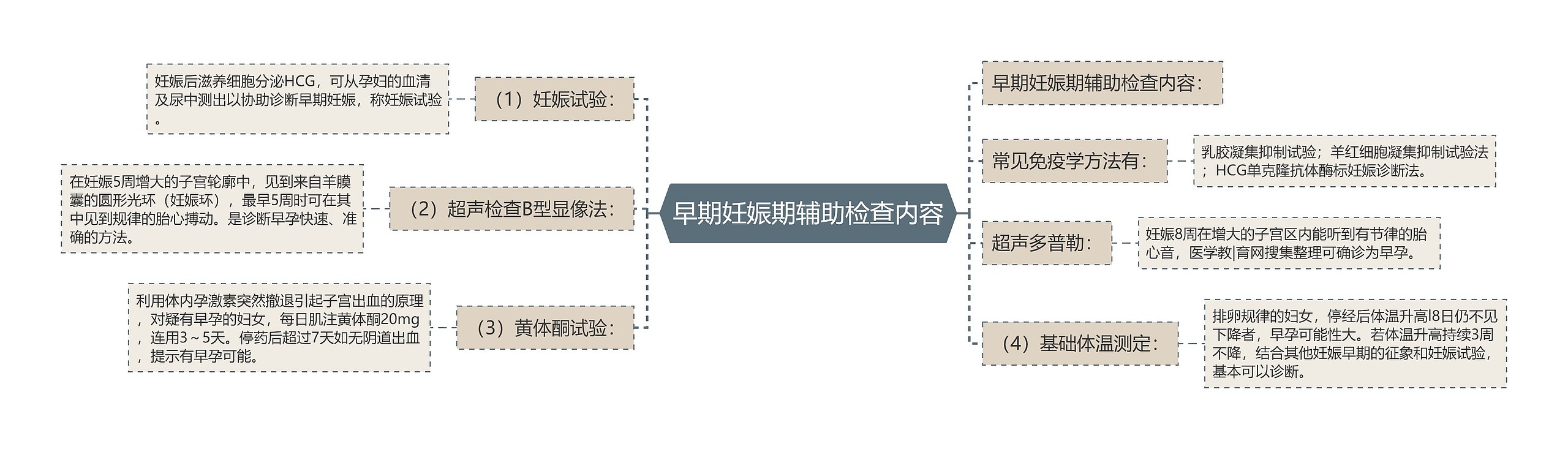 早期妊娠期辅助检查内容