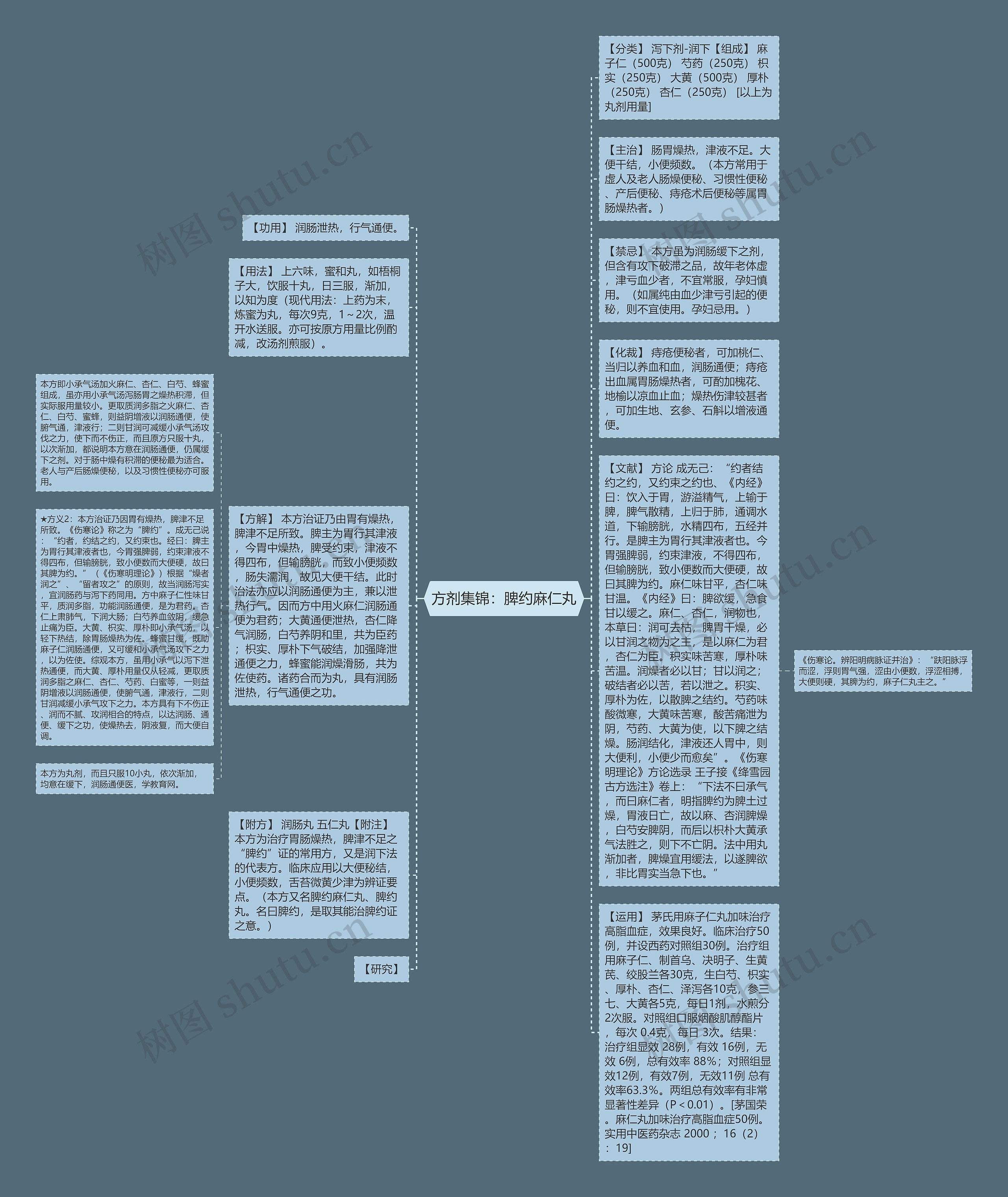 方剂集锦：脾约麻仁丸思维导图