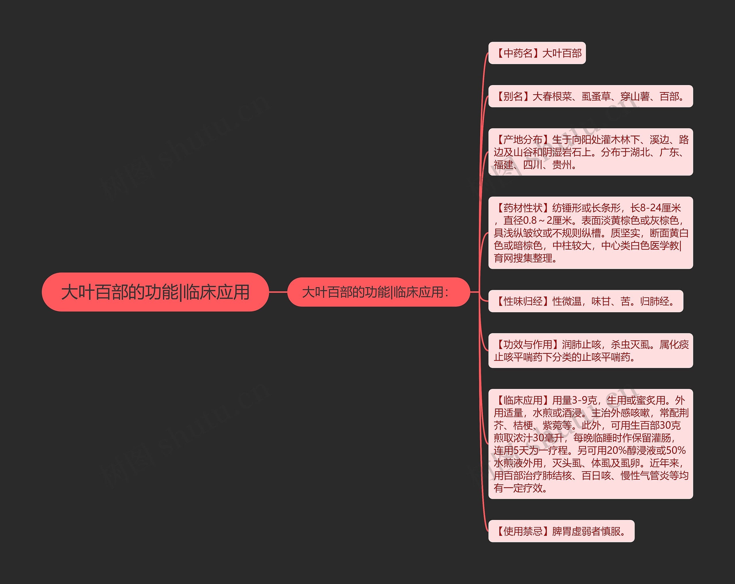 大叶百部的功能|临床应用思维导图