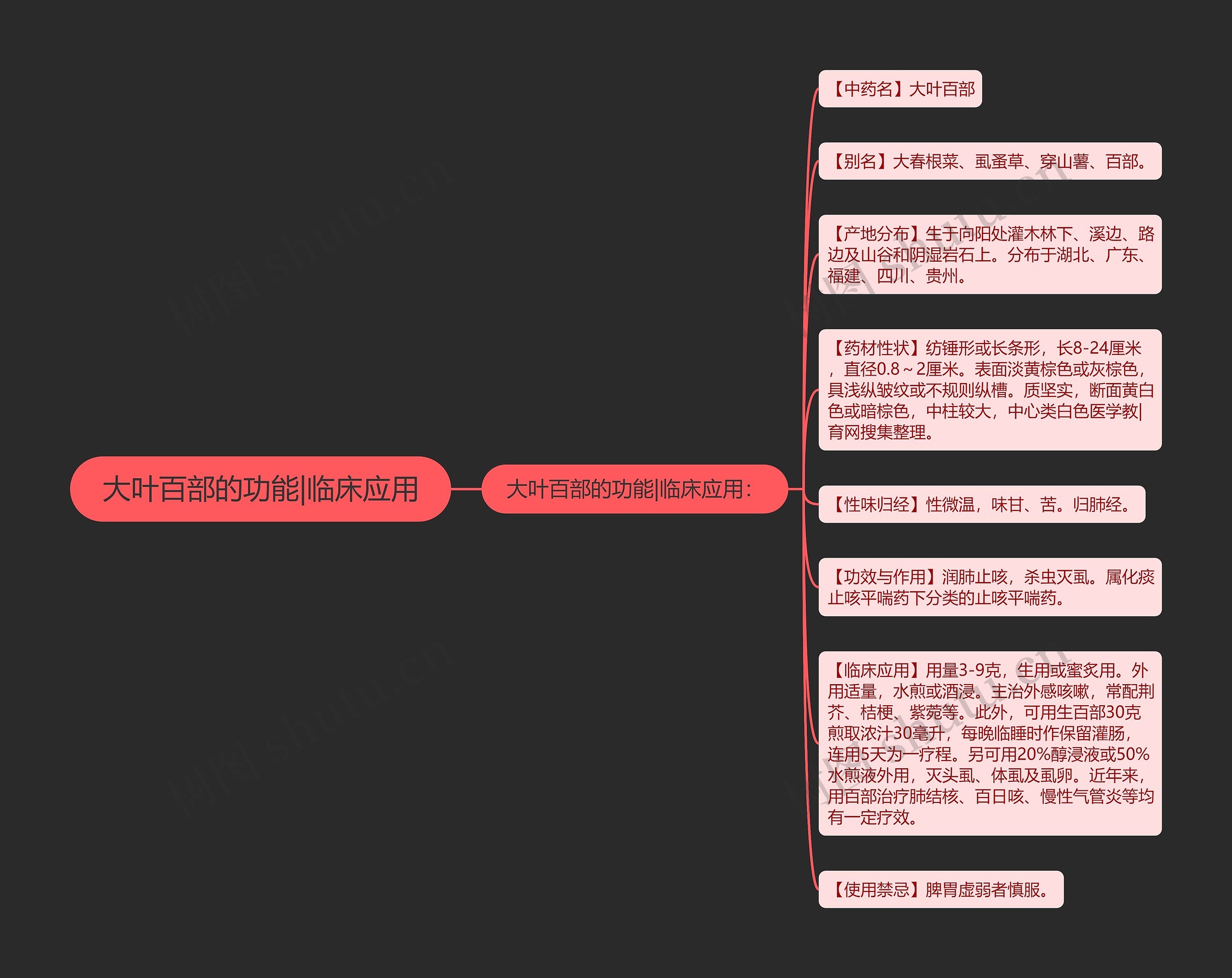 大叶百部的功能|临床应用 大叶百部的功能|临床应用