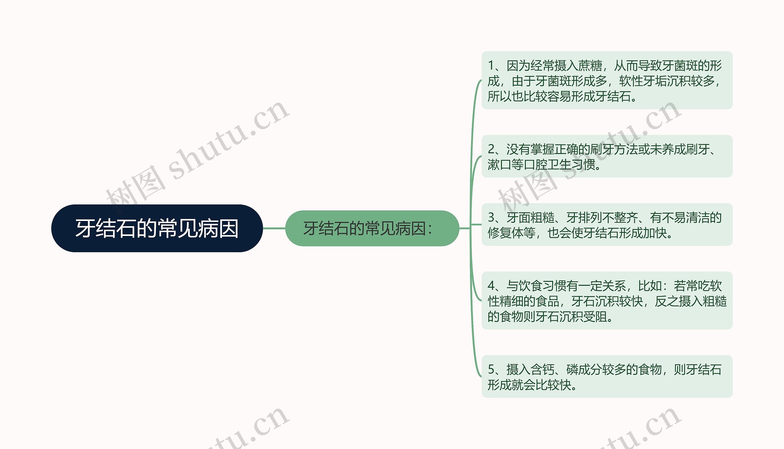 牙结石的常见病因