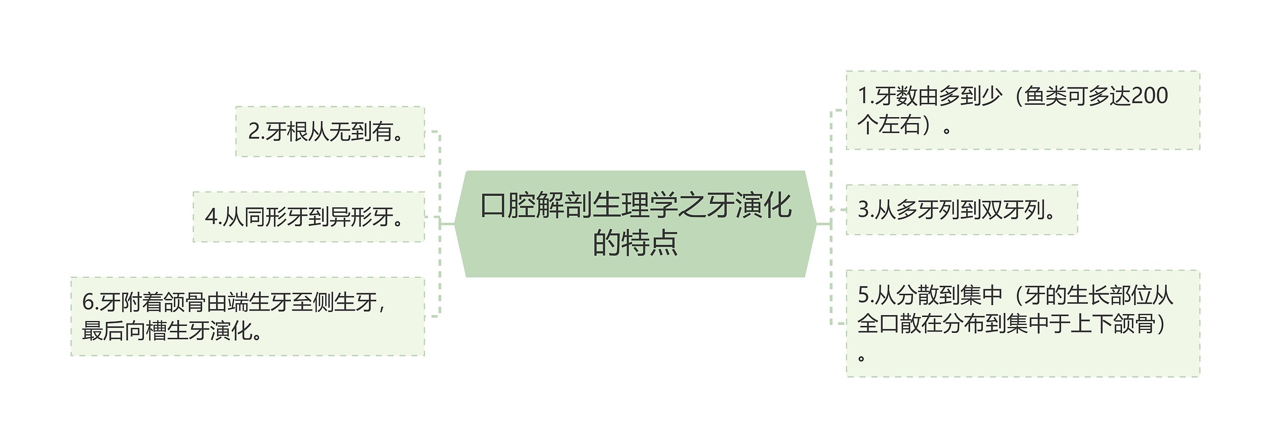 口腔解剖生理学之牙演化的特点