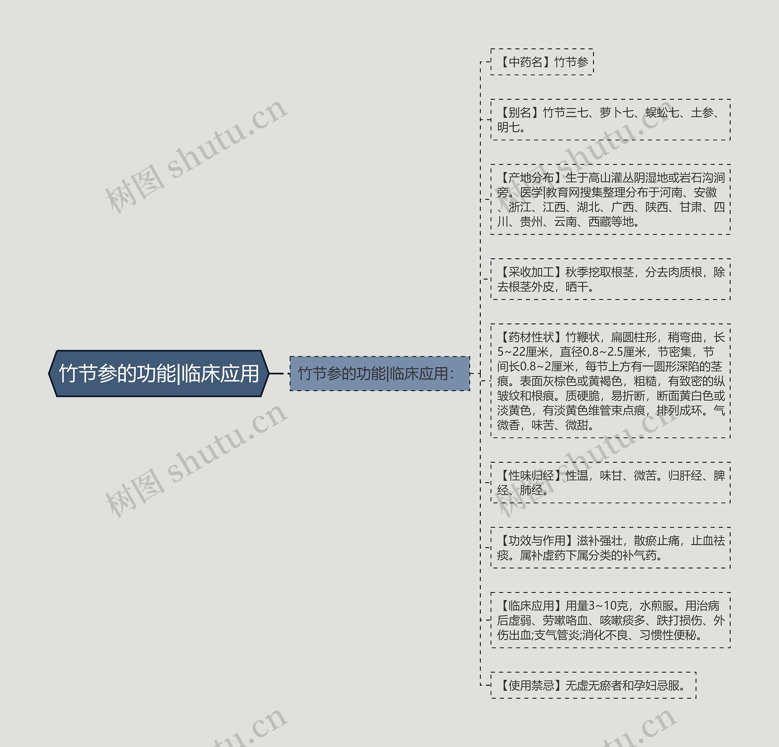 竹节参的功能|临床应用思维导图