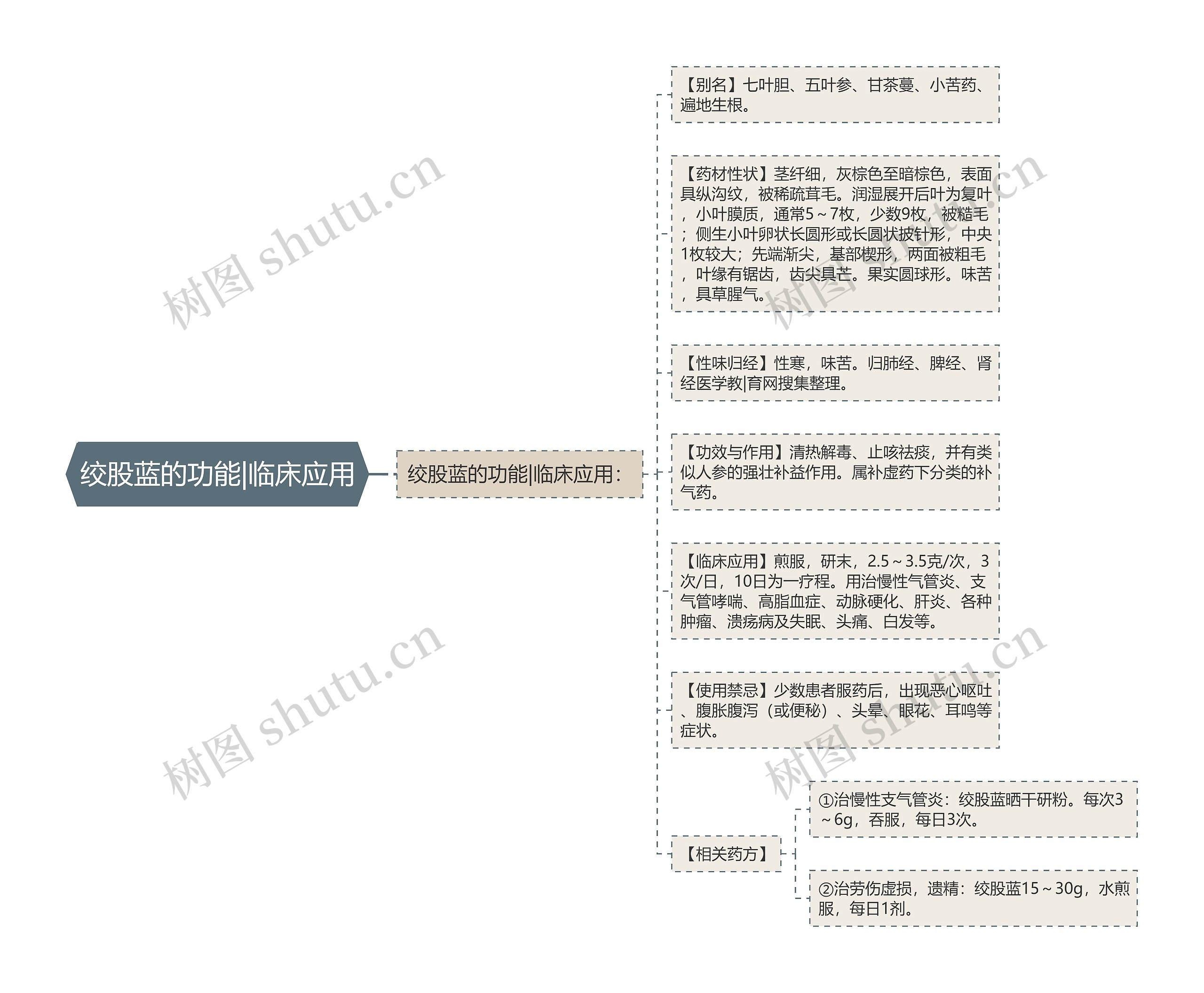 绞股蓝的功能|临床应用思维导图