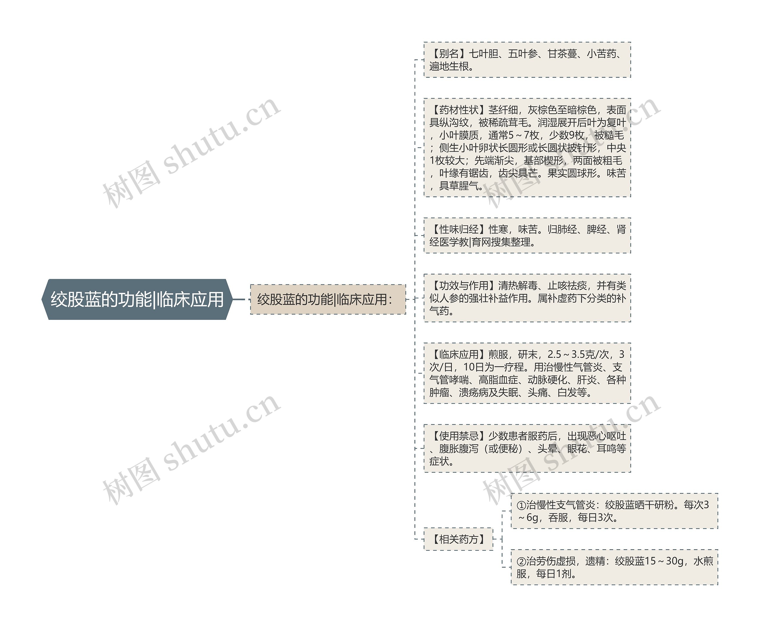 绞股蓝的功能|临床应用 绞股蓝的功能|临床应用