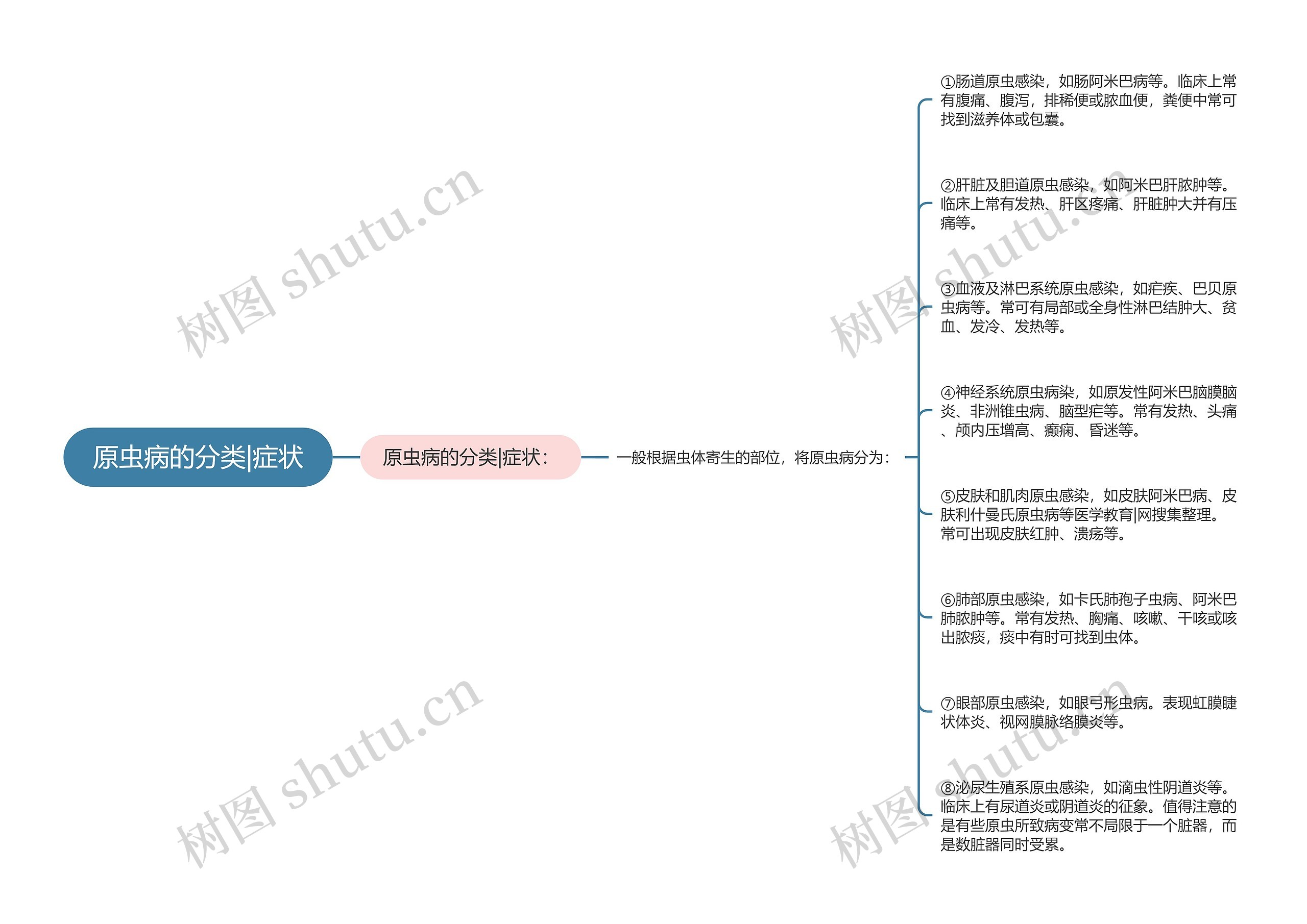 原虫病的分类|症状思维导图