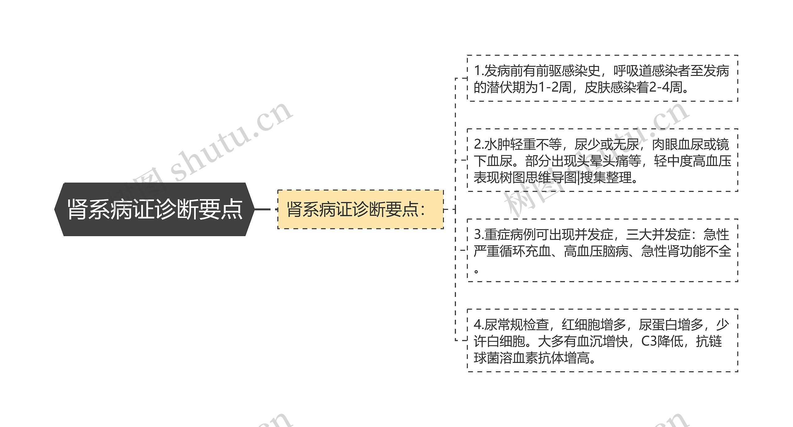 肾系病证诊断要点