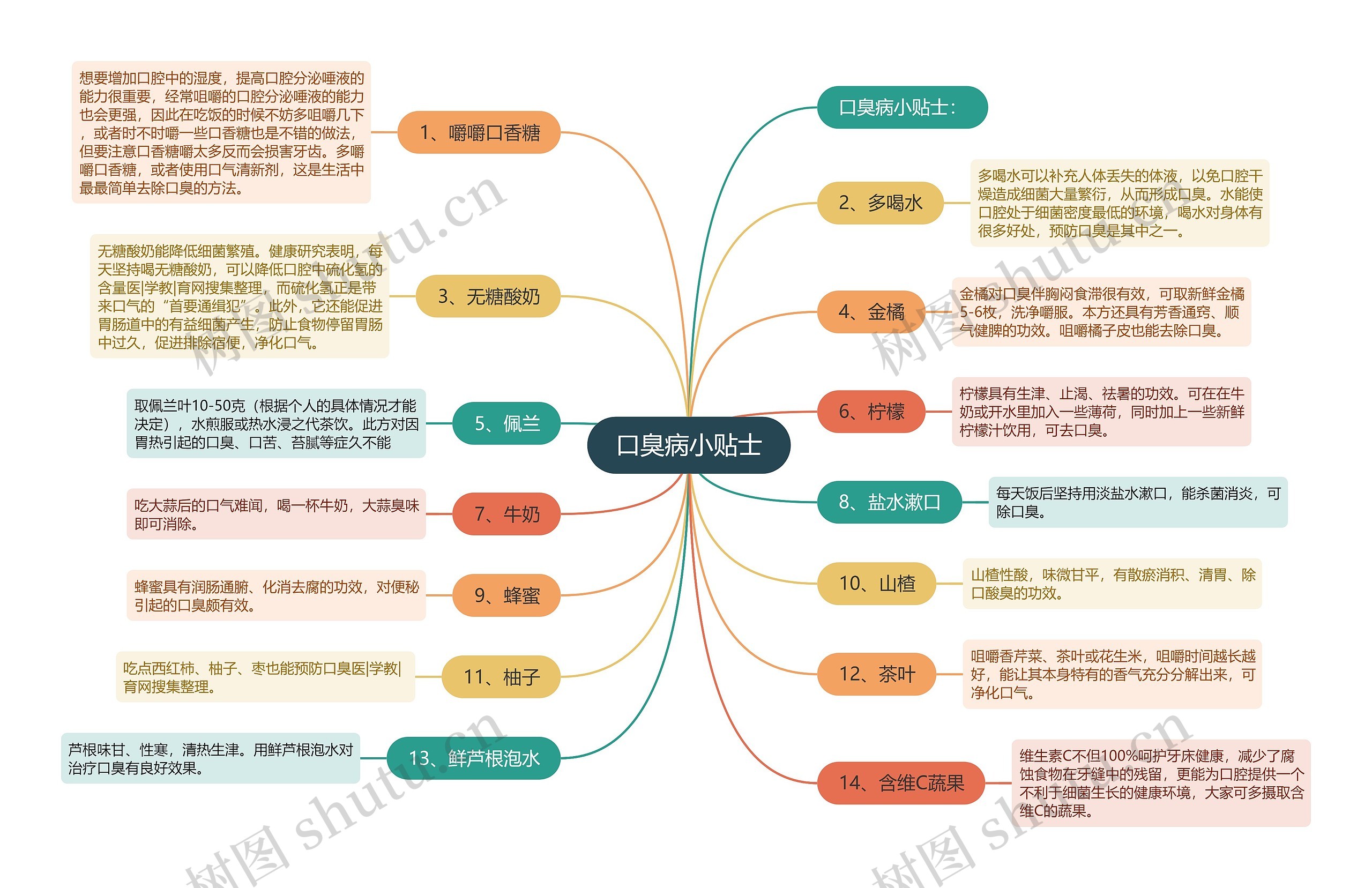 口臭病小贴士思维导图