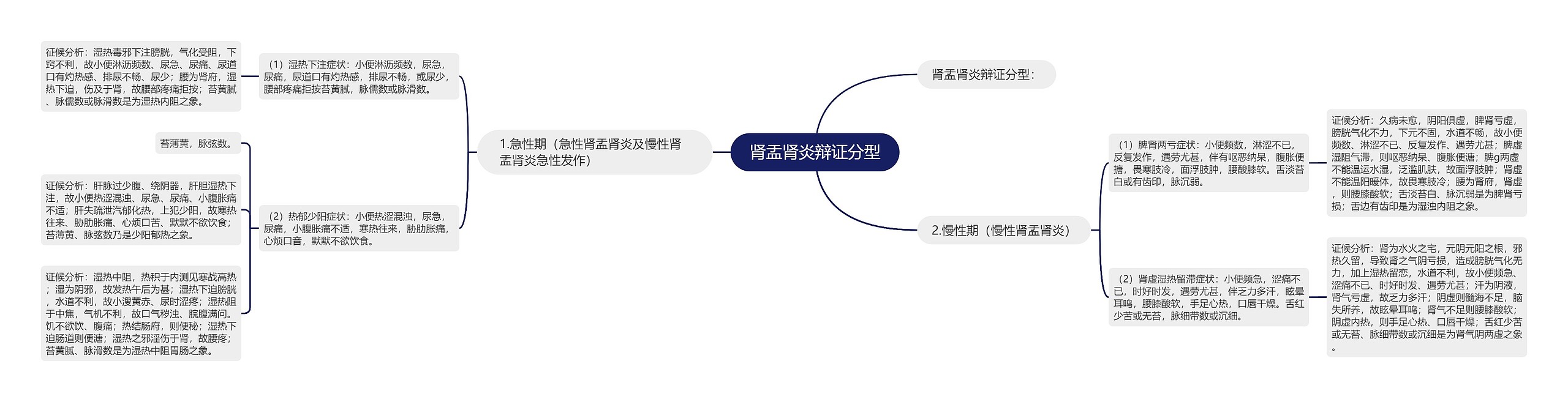 肾盂肾炎辩证分型思维导图