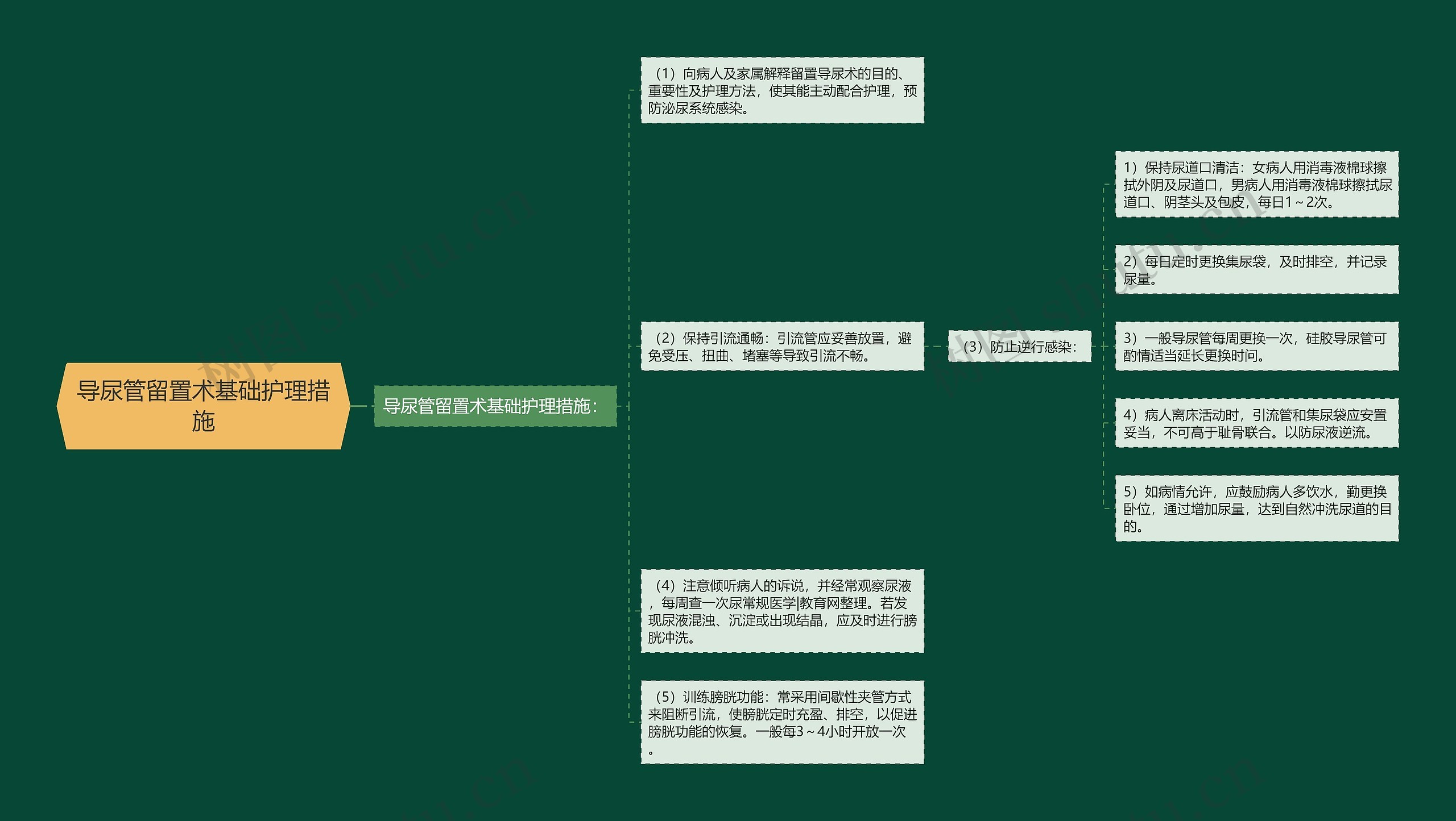 导尿管留置术基础护理措施