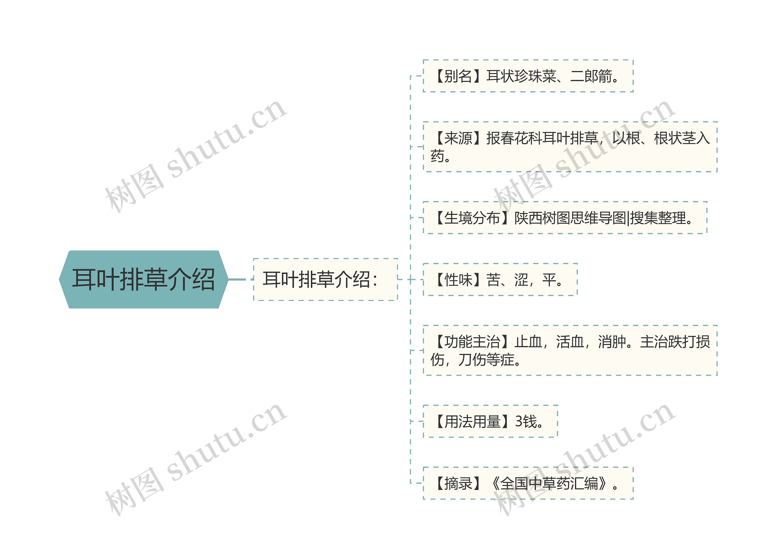 耳叶排草介绍思维导图