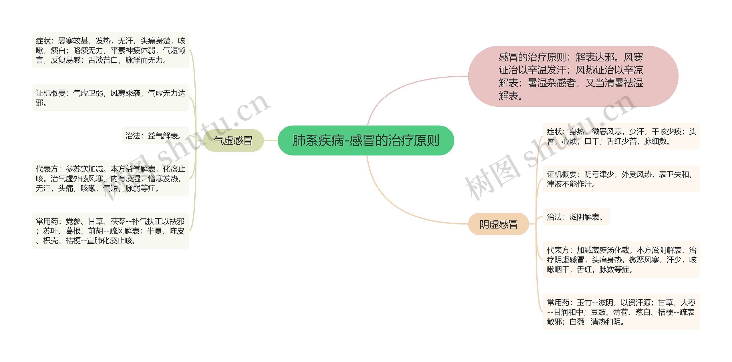 肺系疾病-感冒的治疗原则