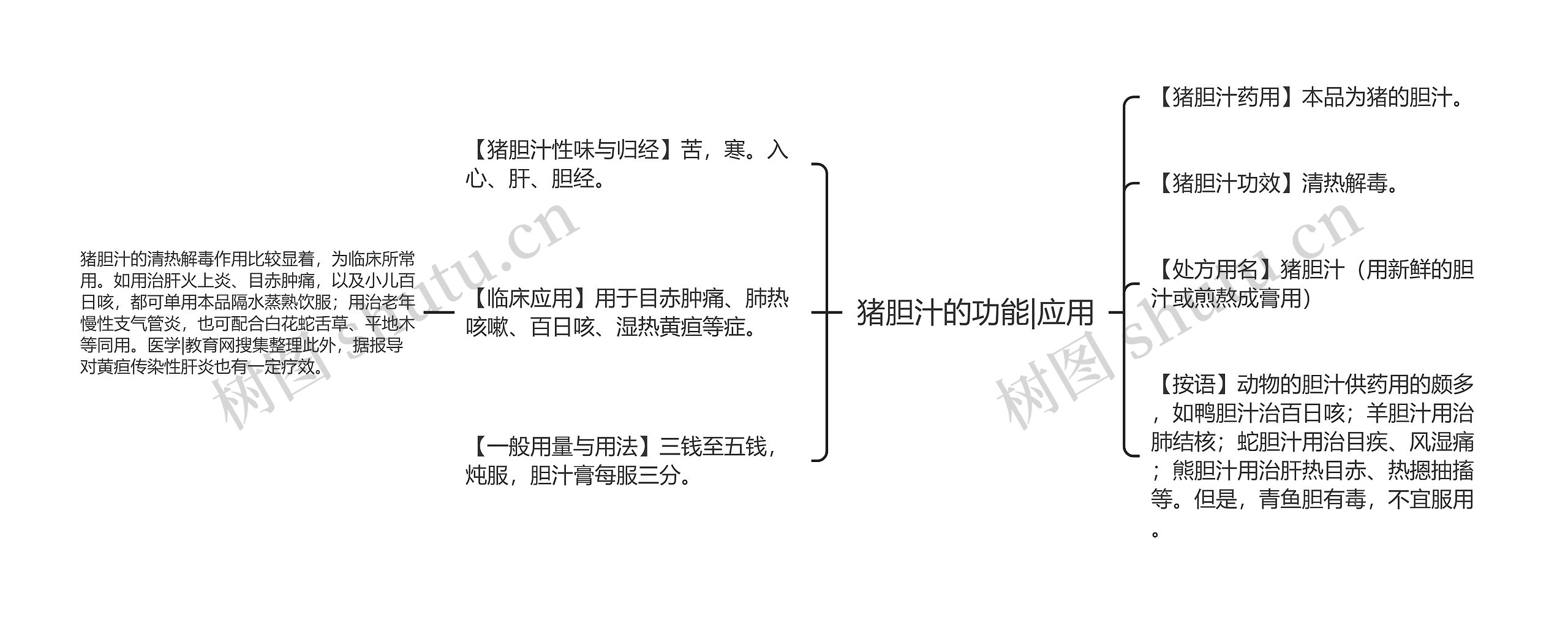 猪胆汁的功能|应用思维导图