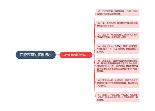 口腔表面的解剖标志