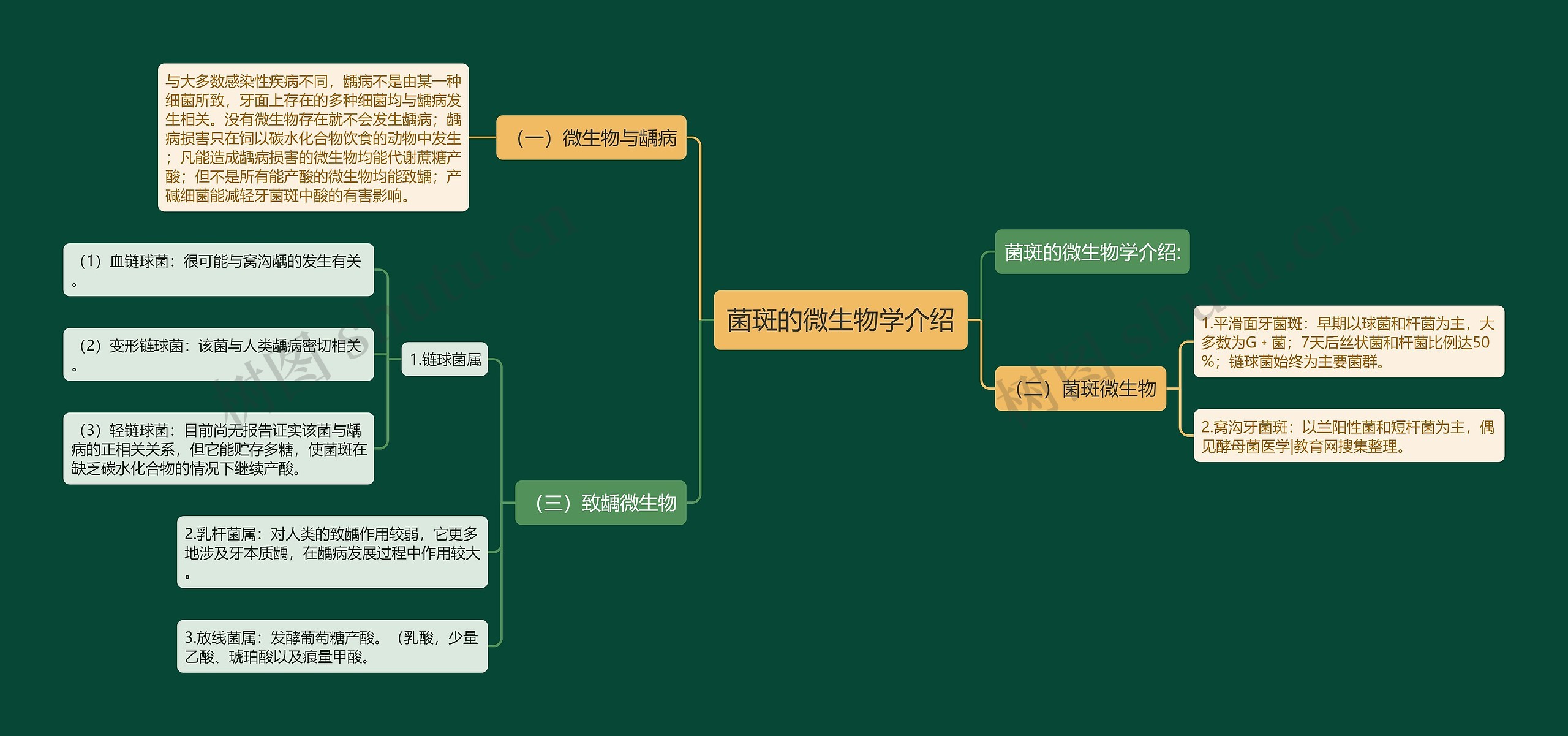 菌斑的微生物学介绍