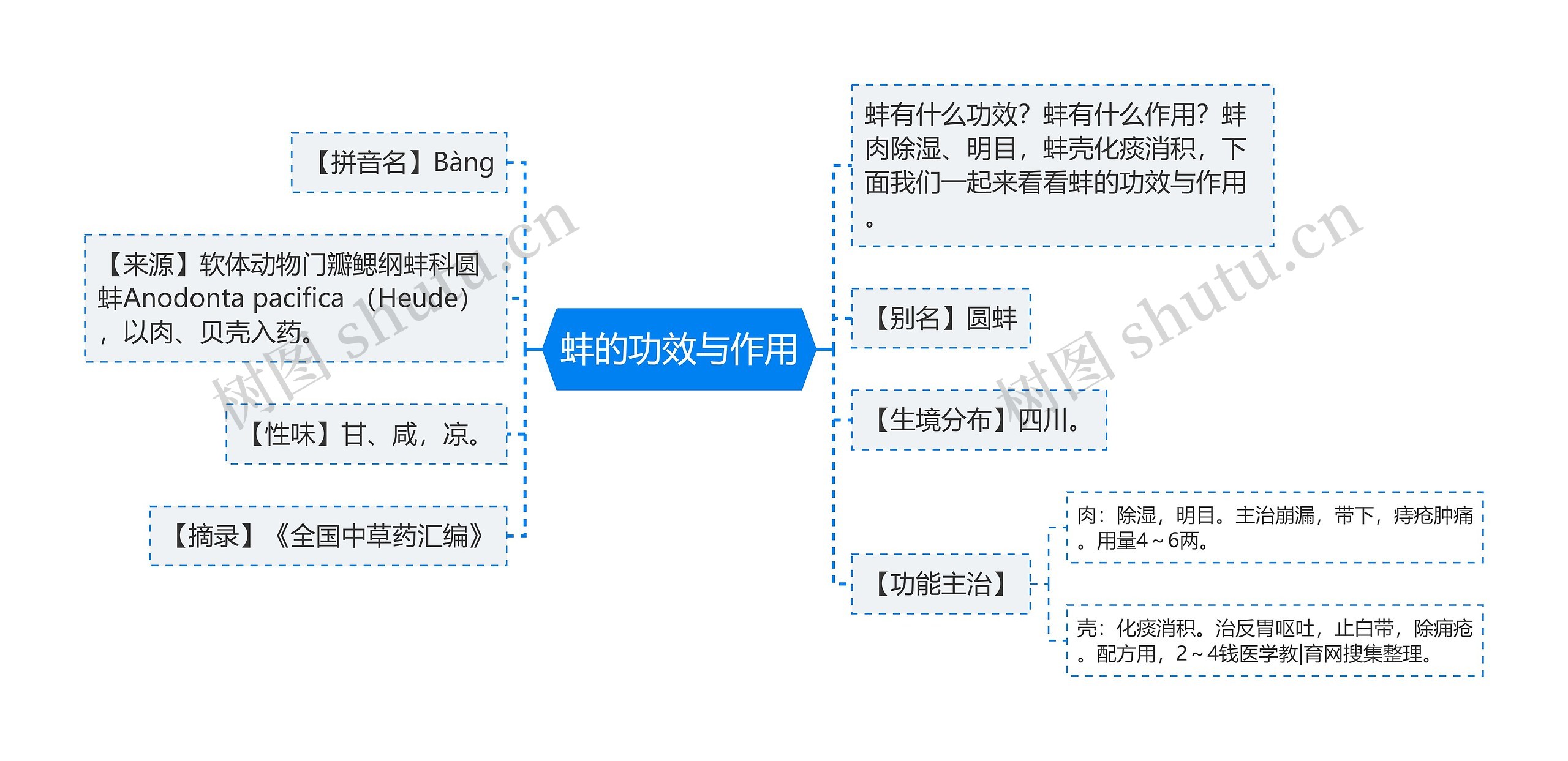 蚌的功效与作用思维导图