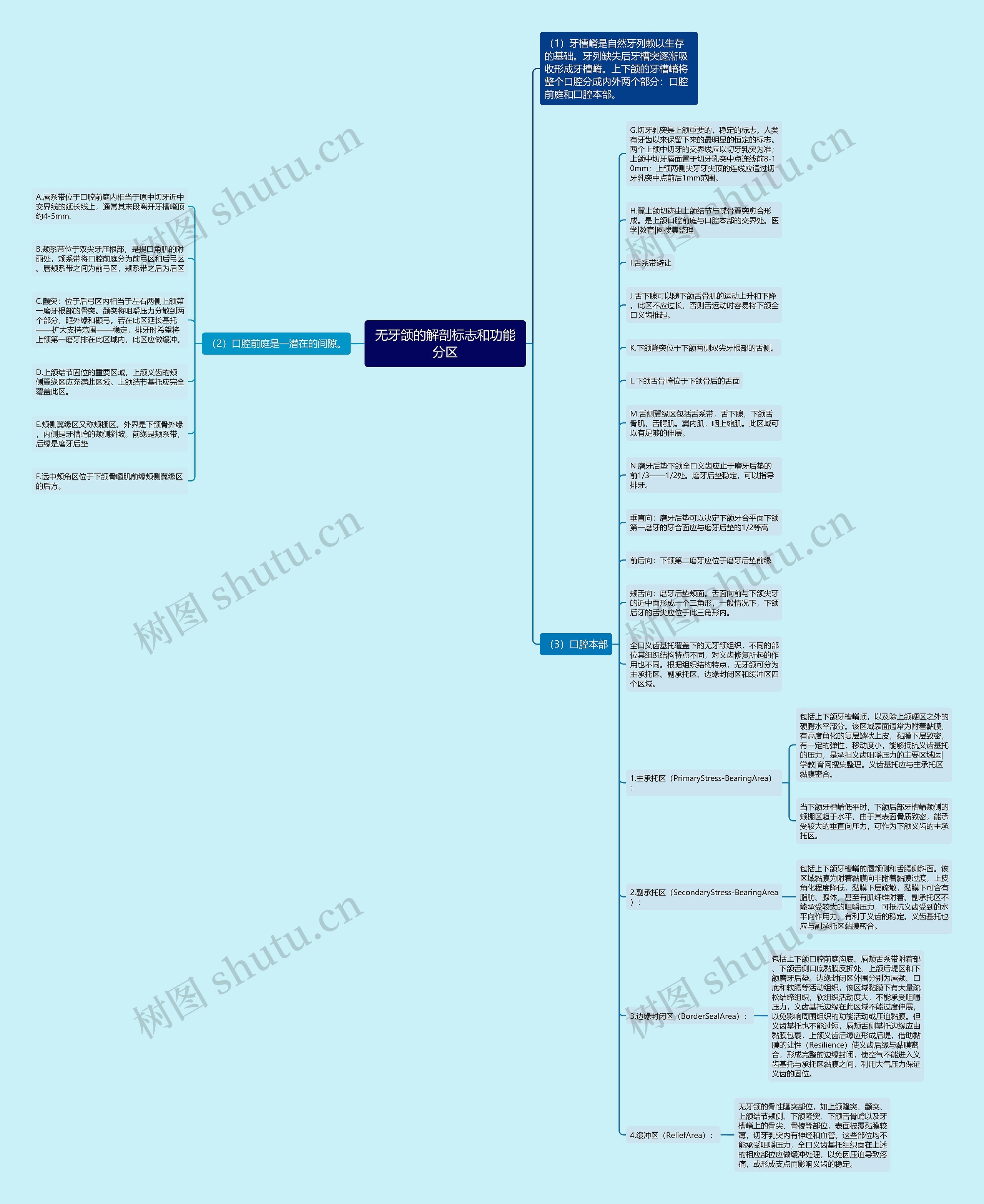 无牙颌的解剖标志和功能分区思维导图