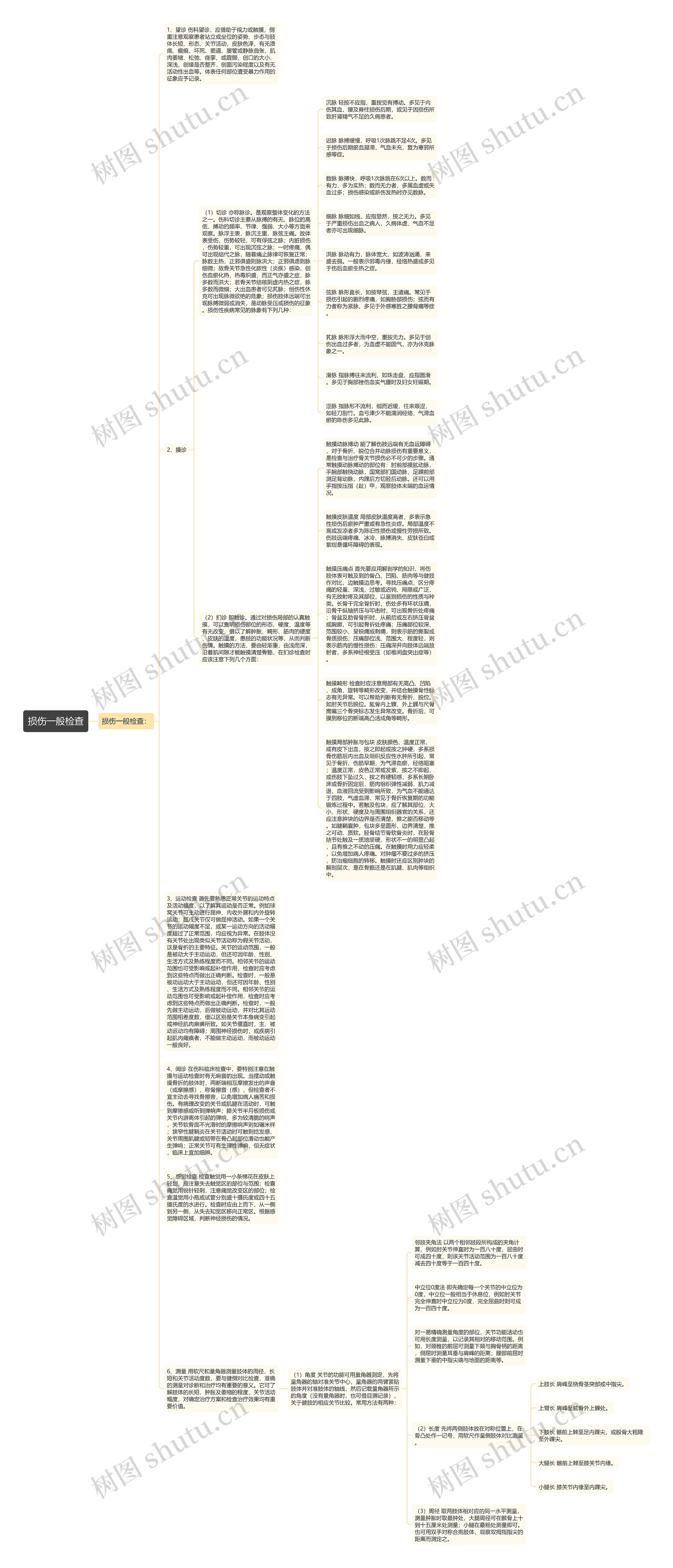 损伤一般检查思维导图