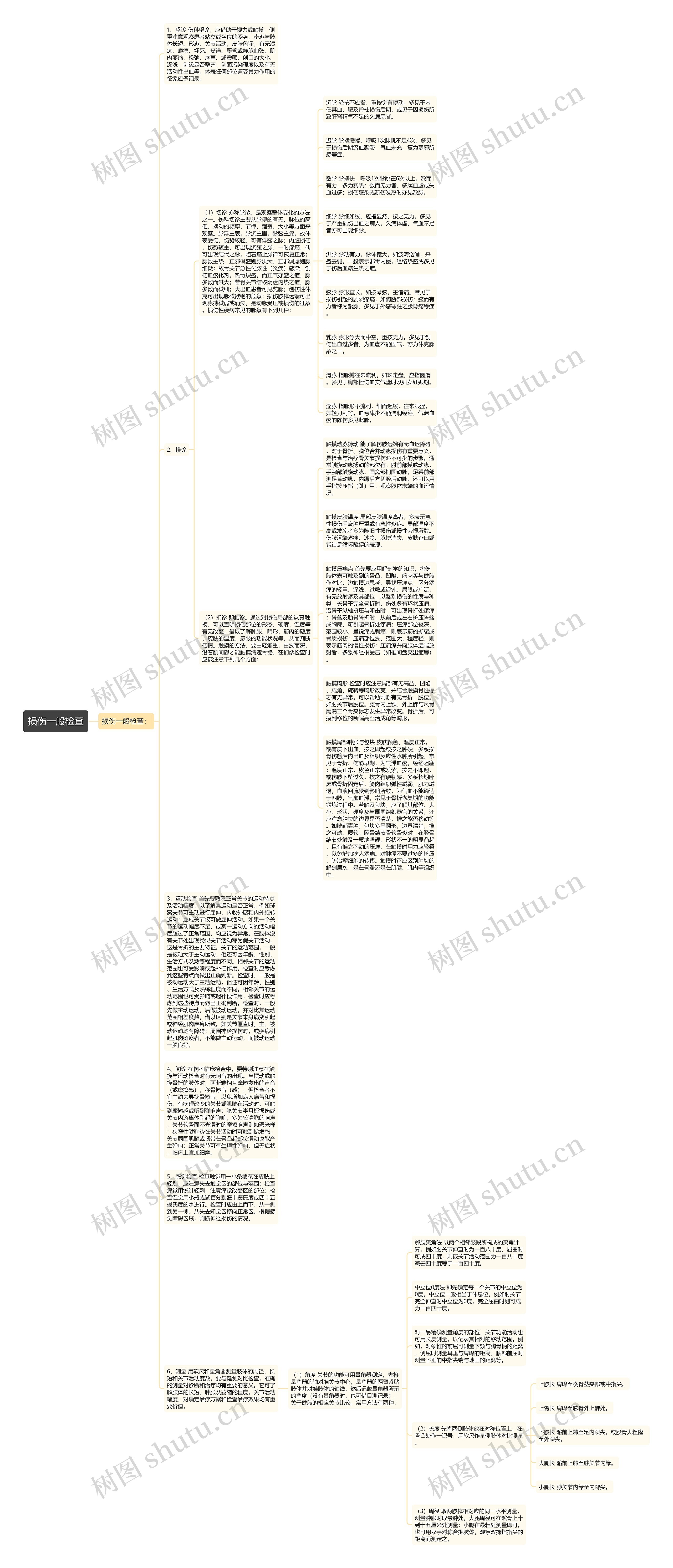 损伤一般检查 损伤一般检查