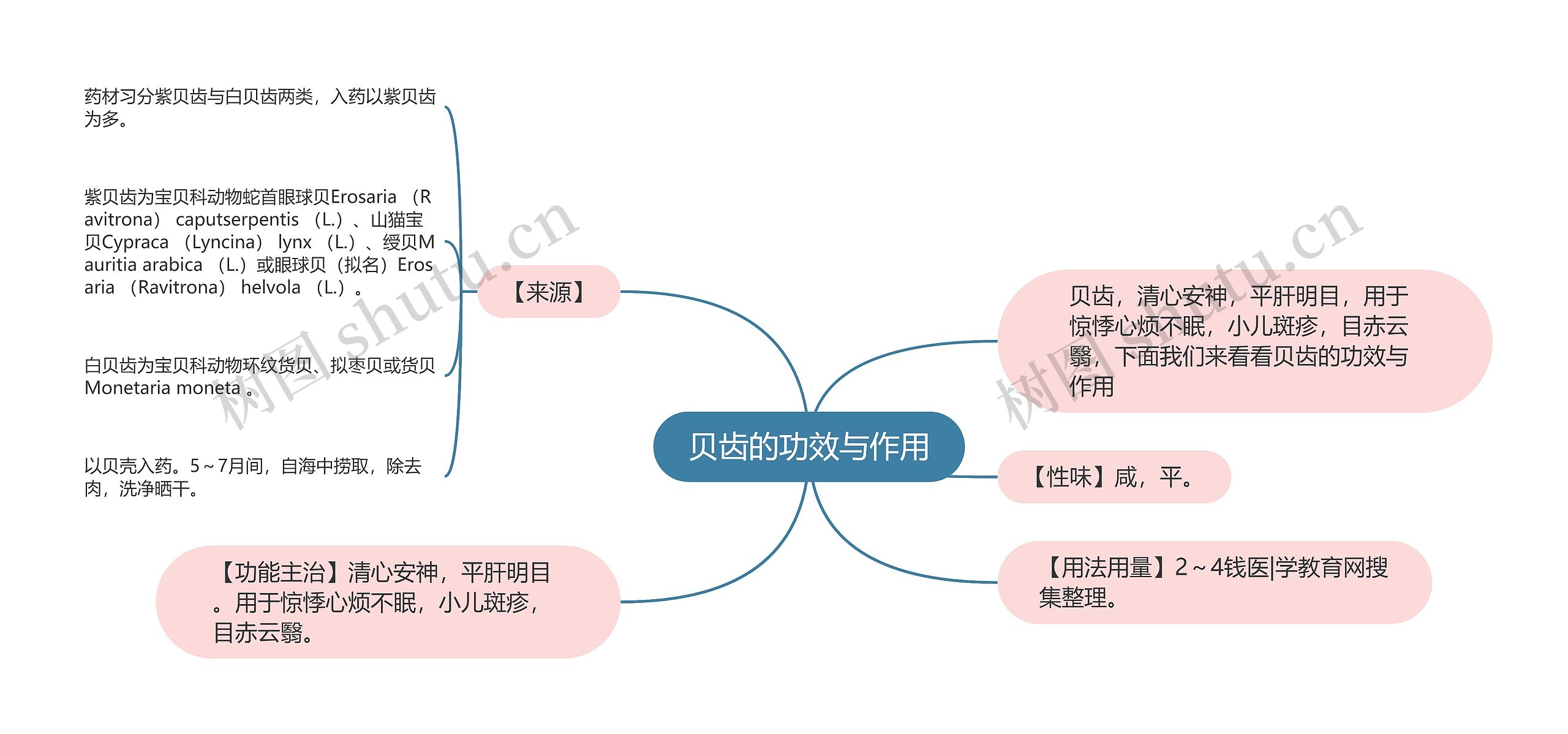 贝齿的功效与作用思维导图