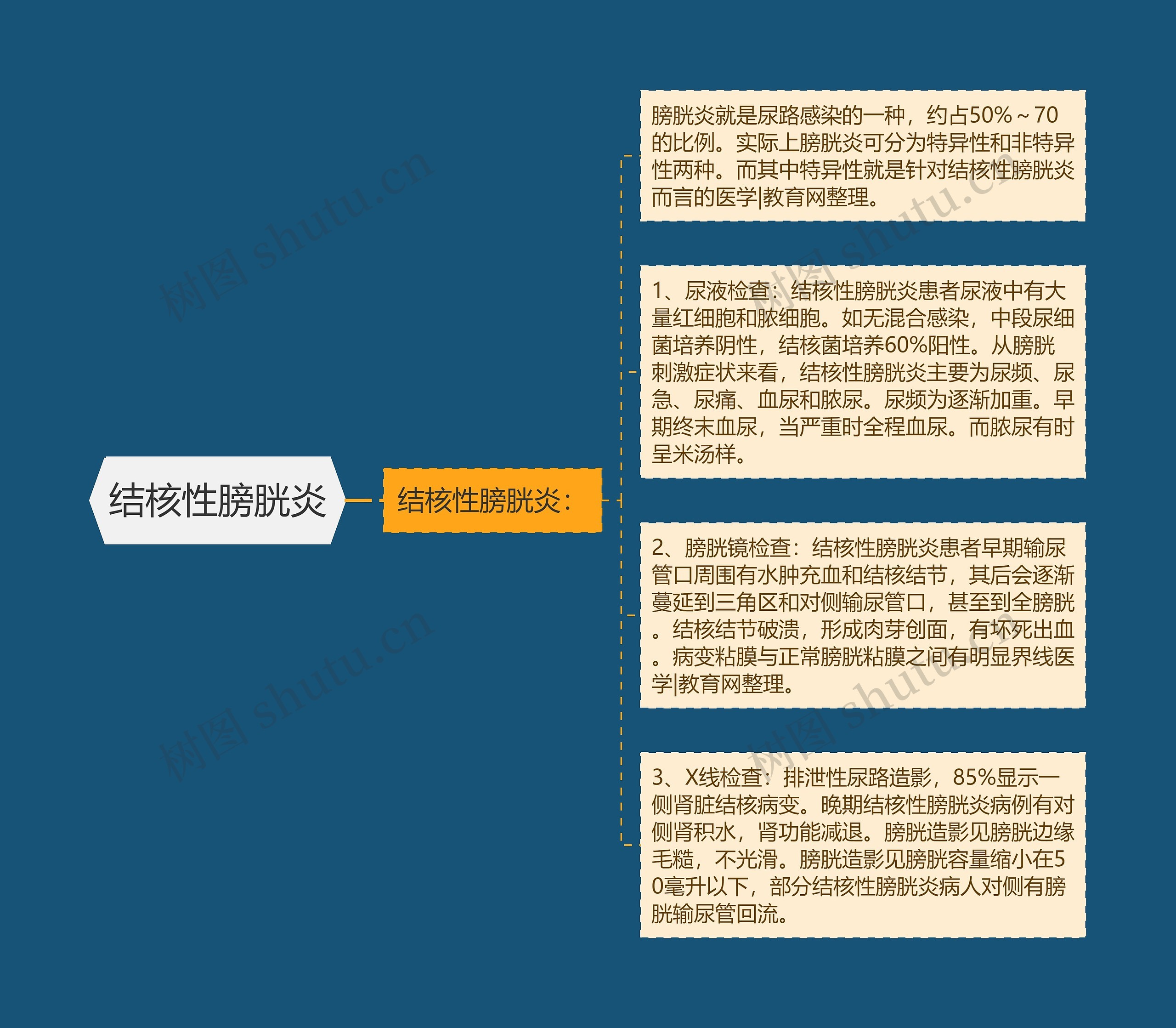 结核性膀胱炎 结核性膀胱炎